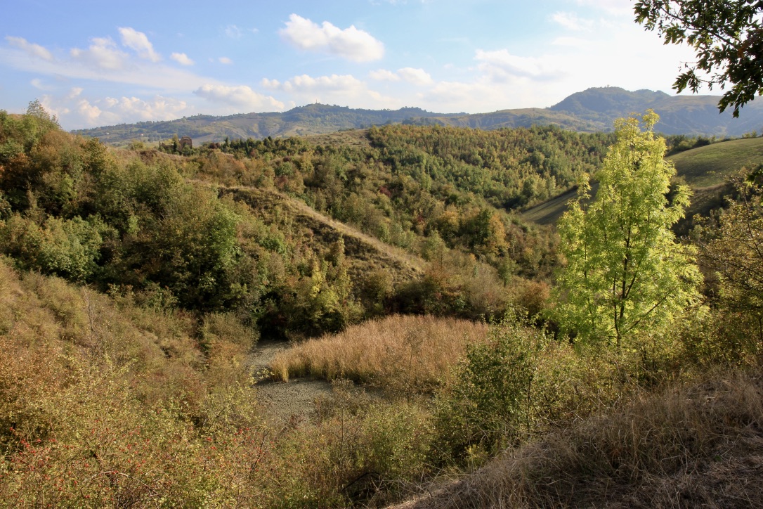 Riserva naturale Salse di Nirano