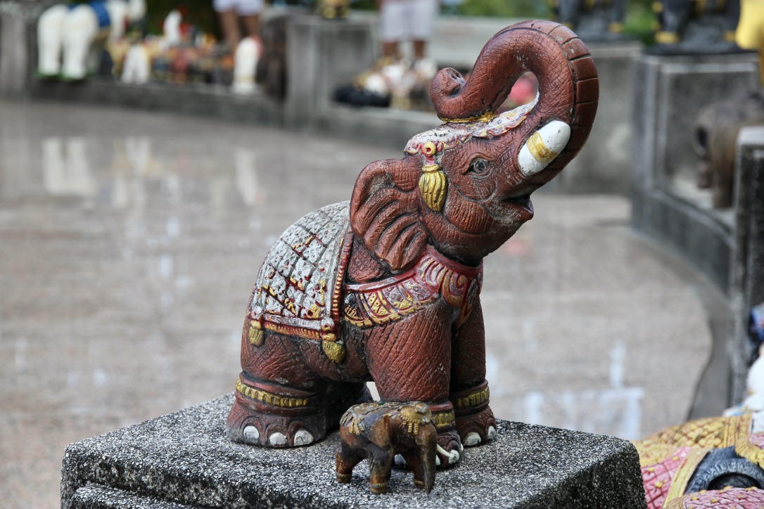 Elefanti statue