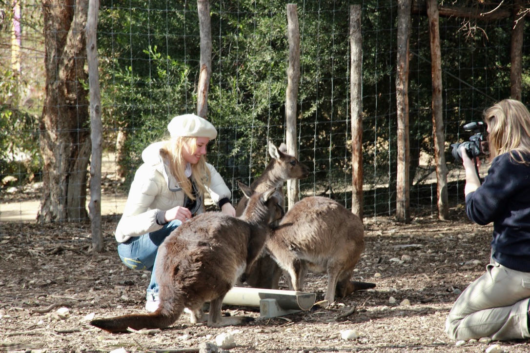 Melbourne Zoo, Australia