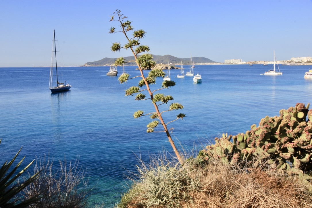 Mare di Ibiza