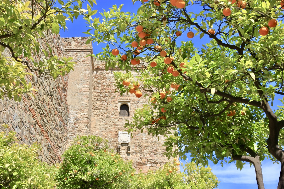 Cosa vedere a Málaga: l'Alcazaba