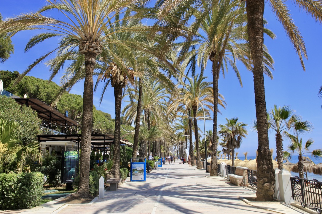 Marbella, cosa fare