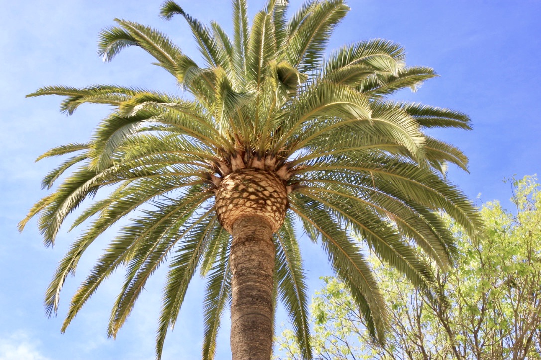 Málaga, cosa vedere in due giorni