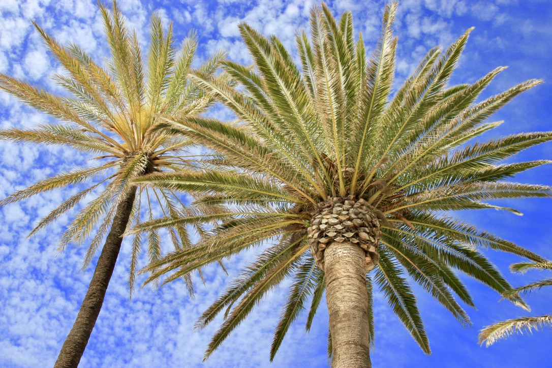 Málaga in due giorni, cosa vedere