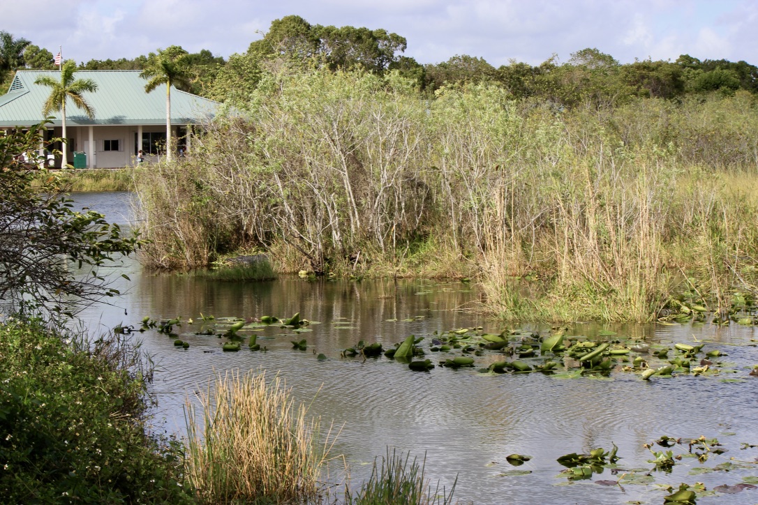 Come visitare le Everglades