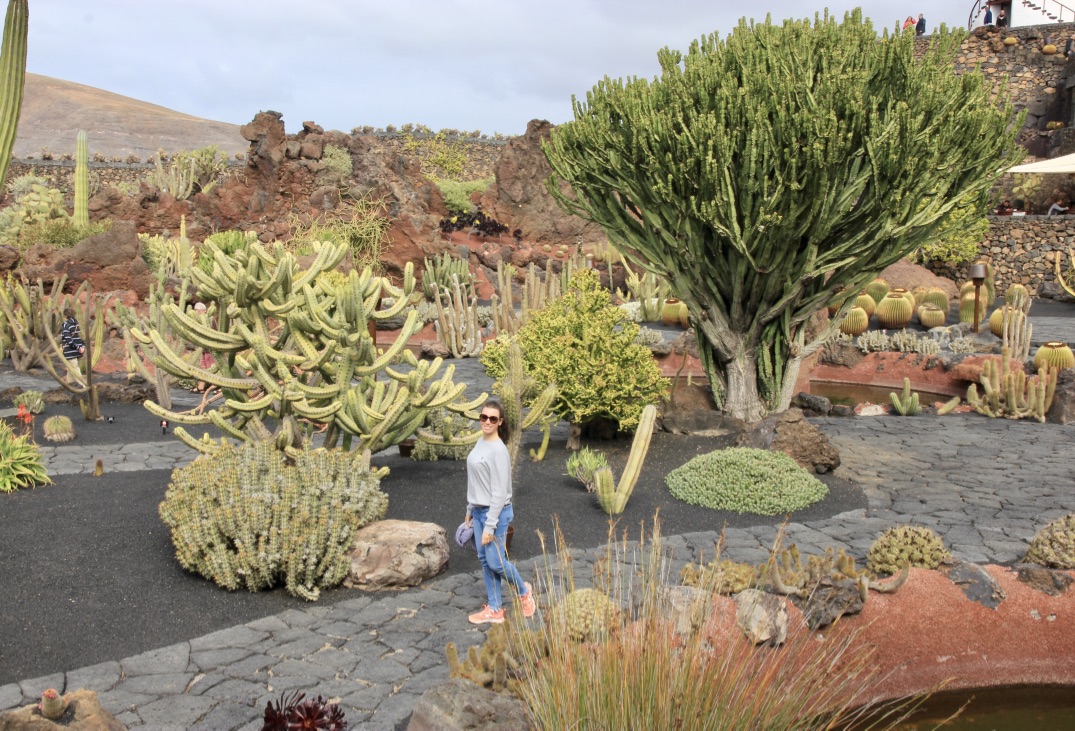 Jardín de cactus, Lanzarote