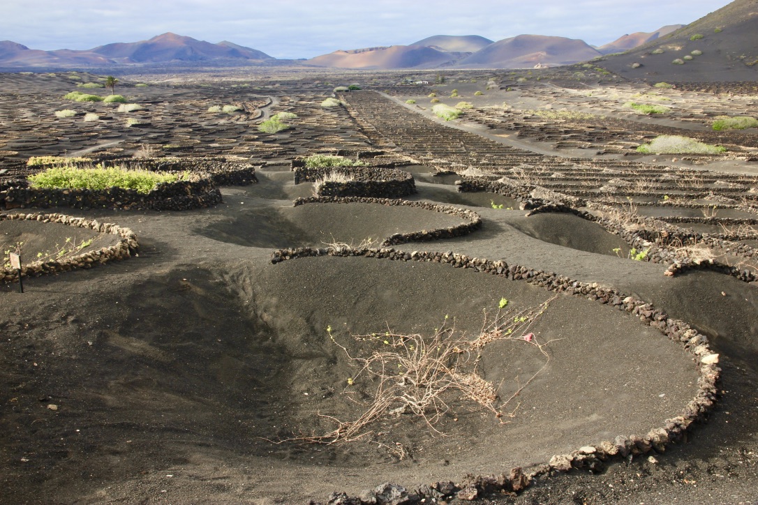 La Geria, Lanzarote