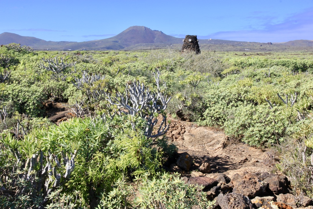 Lanzarote, cosa vedere