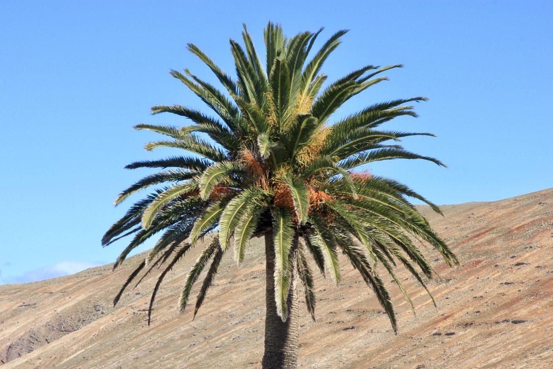 Lanzarote, cosa vedere