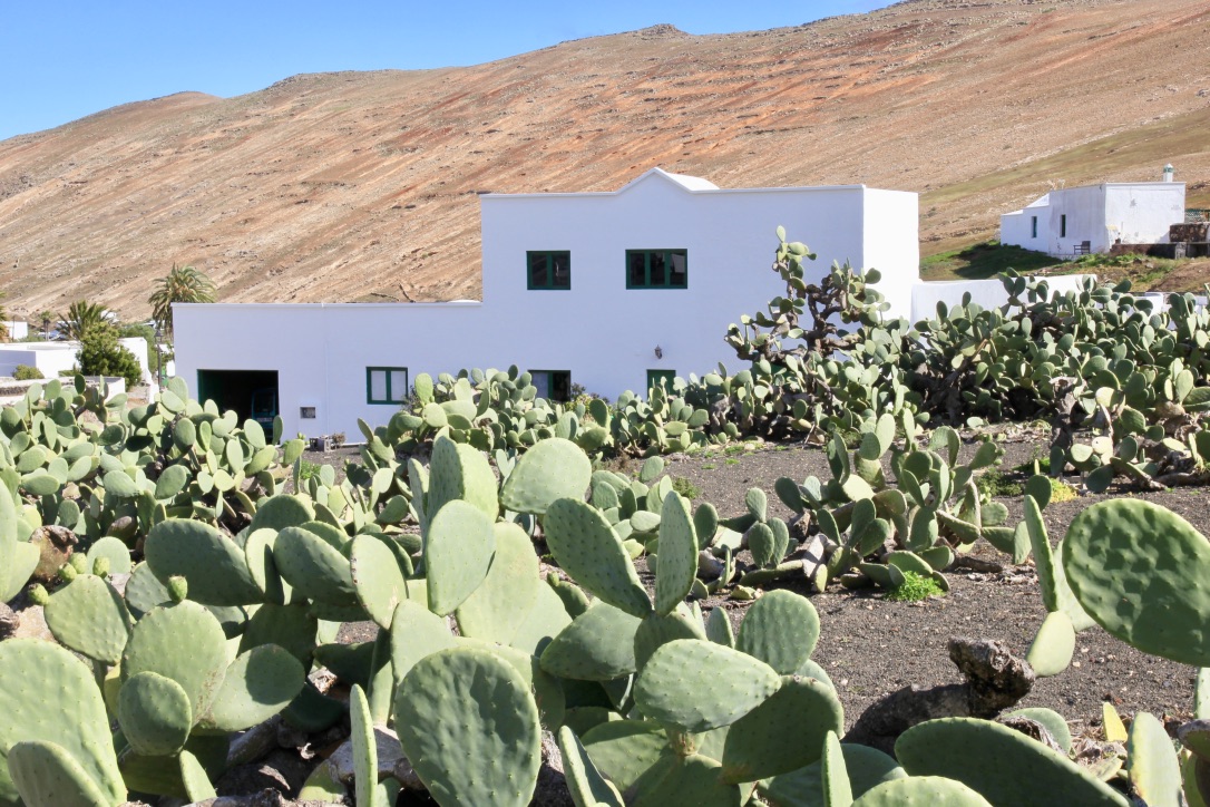 Cosa fare a Lanzarote