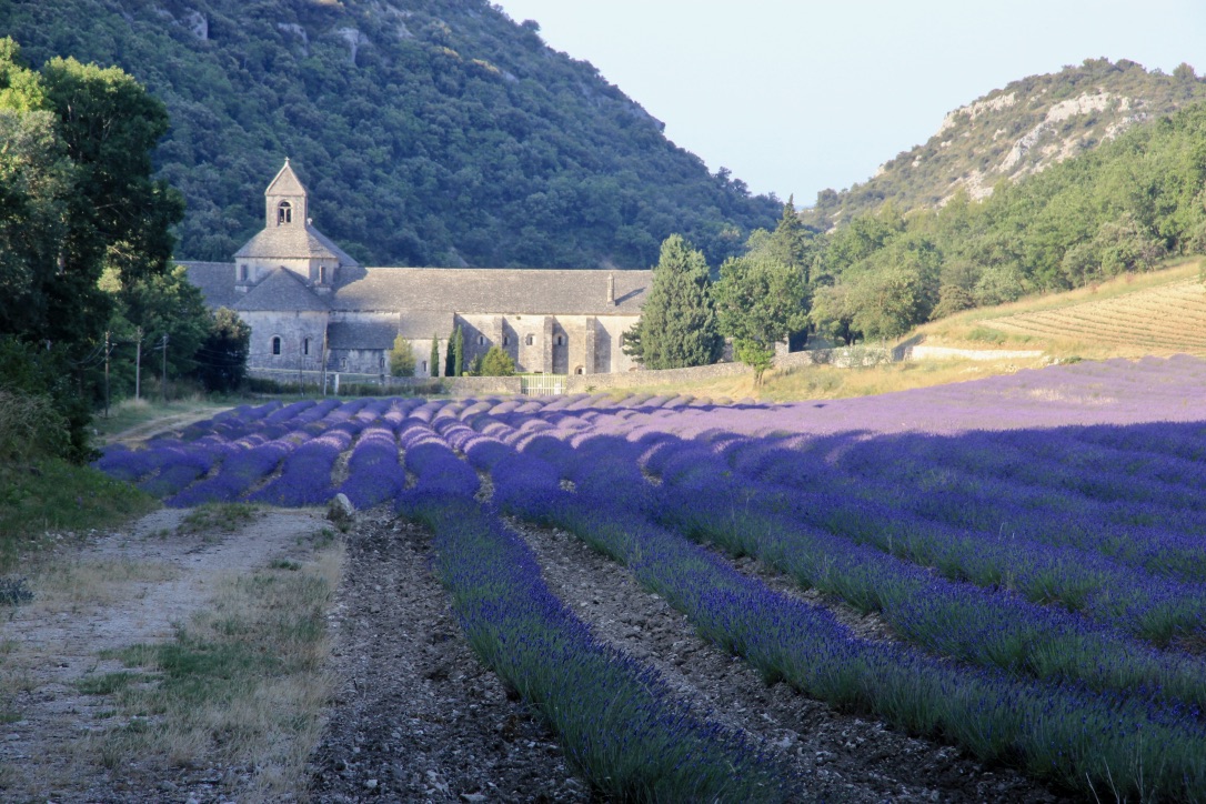 Abbazia di Senanque, Provenza