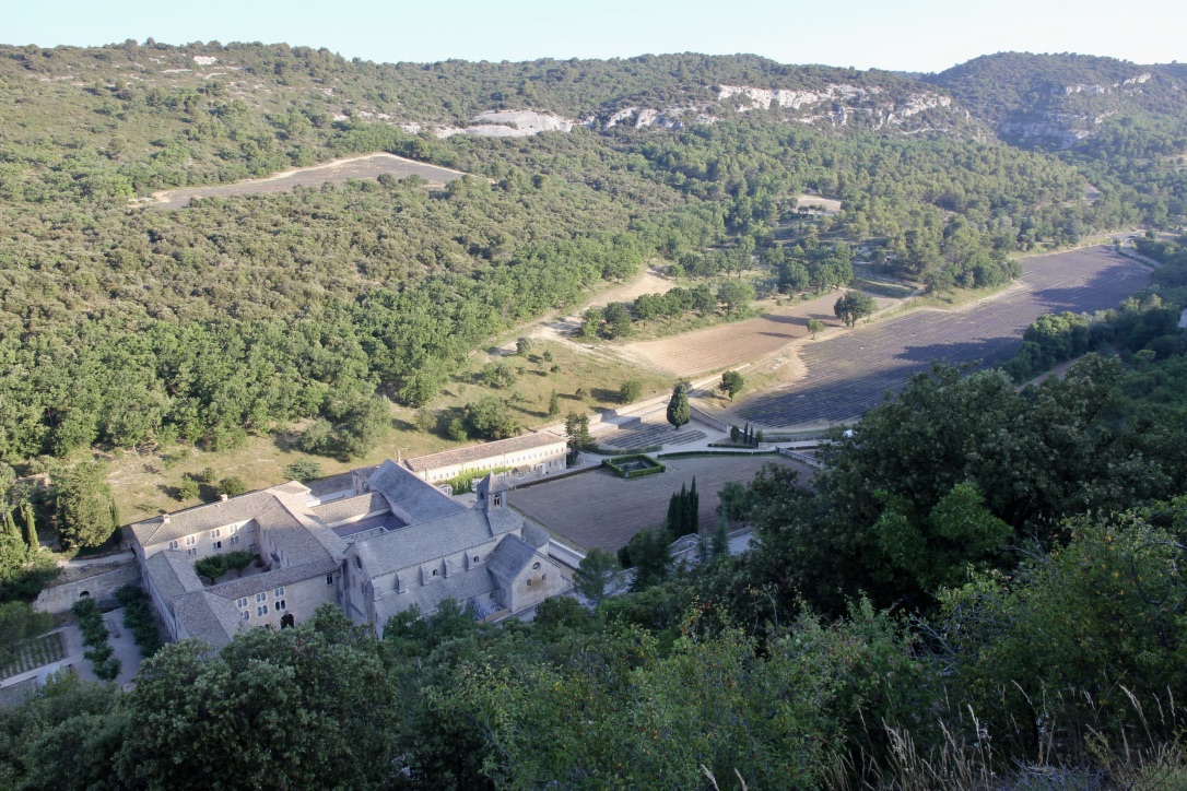 Abbazia di Senanque, Provenza