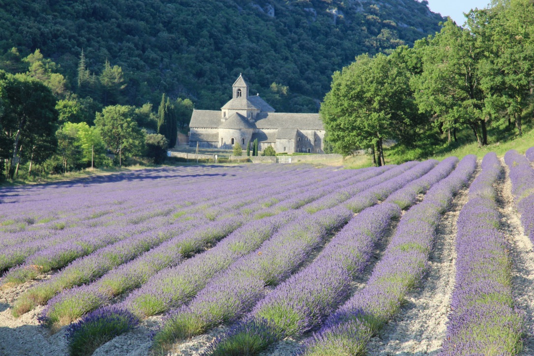 Abbazia di Senanque, Francia