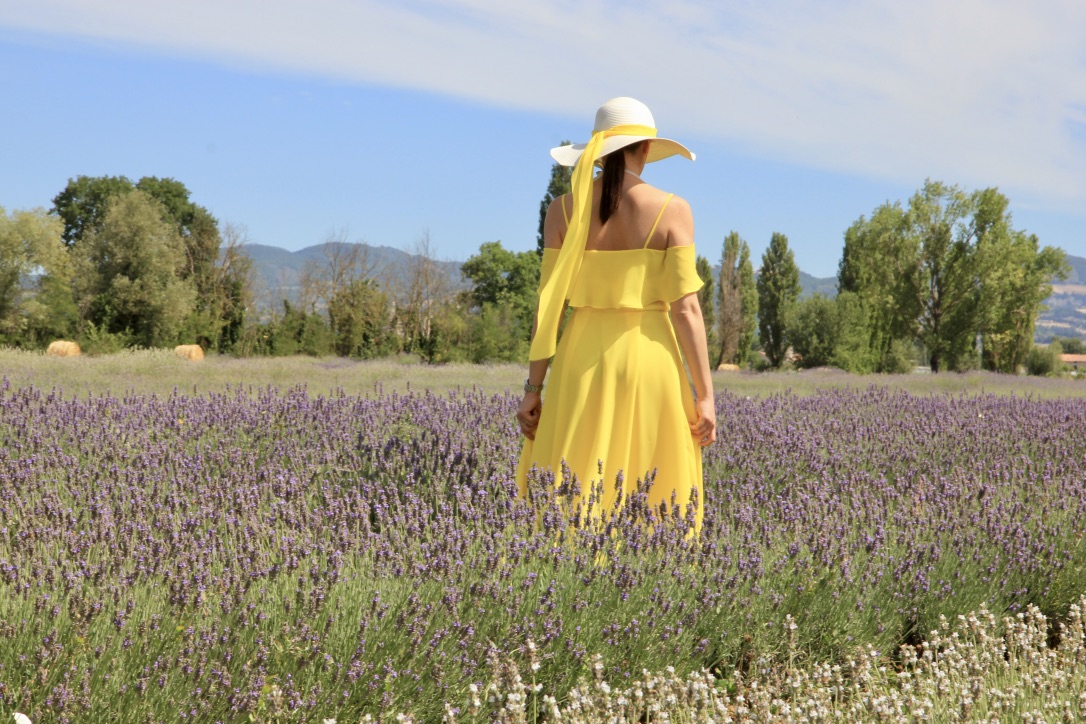 Campo di lavanda, Umbria