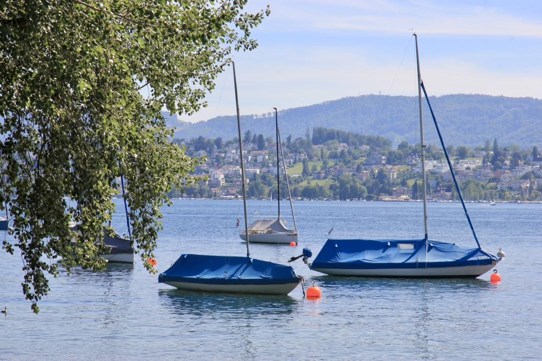 Lago di Zurigo