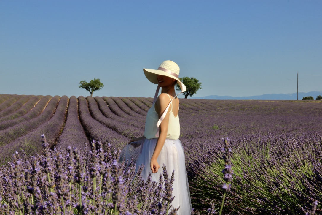 Valensole, campi di lavanda