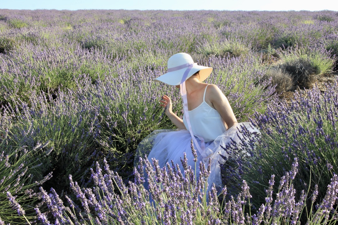 Plateau de Valensole