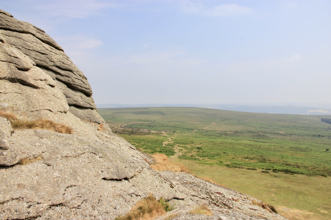 Brughiera di Dartmoor