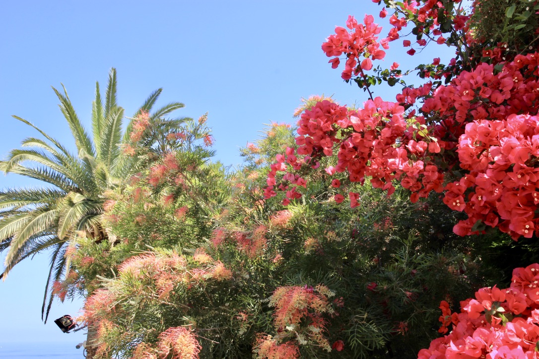 Giardino di Villa Ephrussi