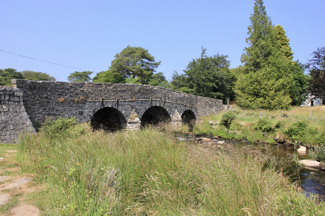 Brughiera di Dartmoor