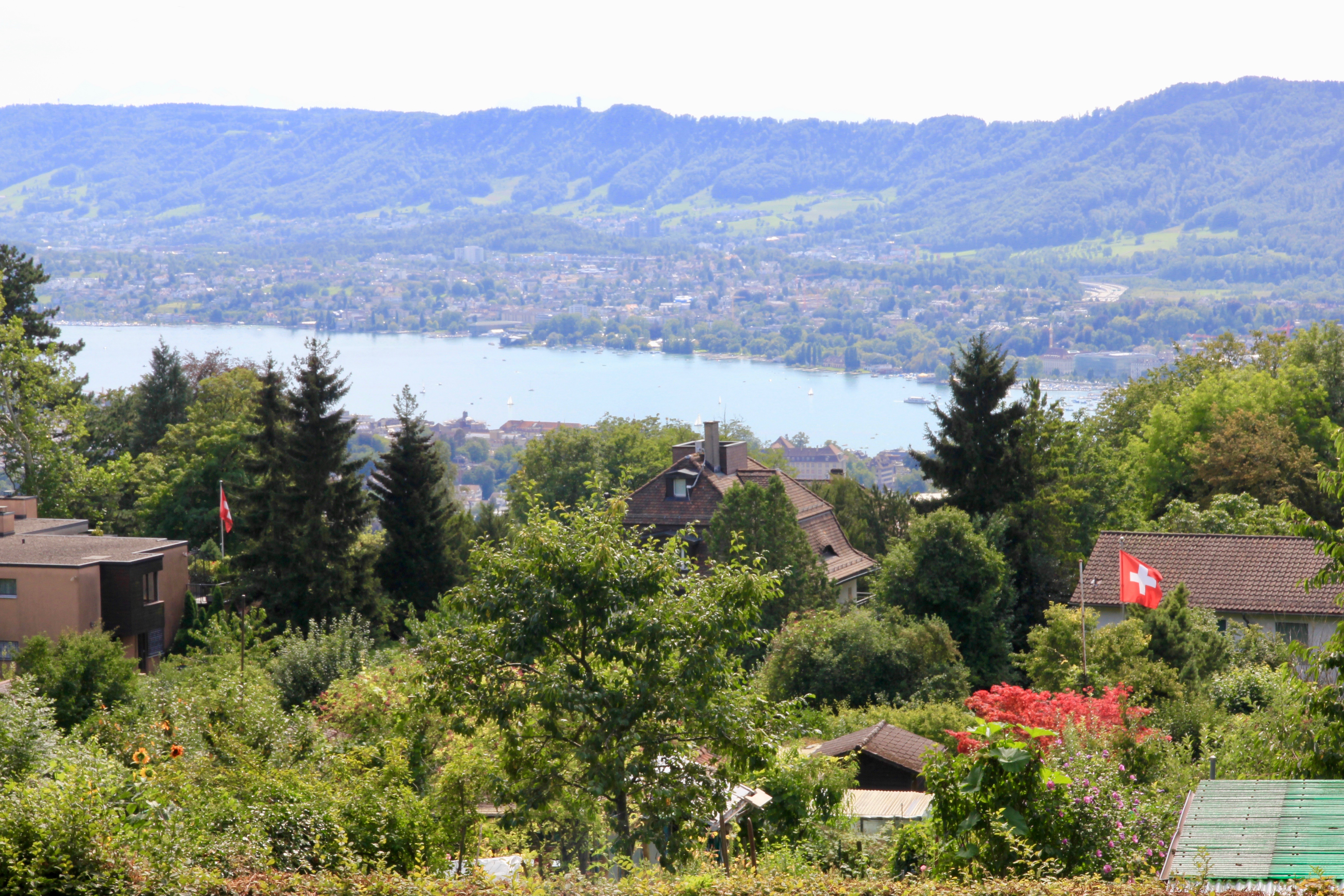 Zürichberg