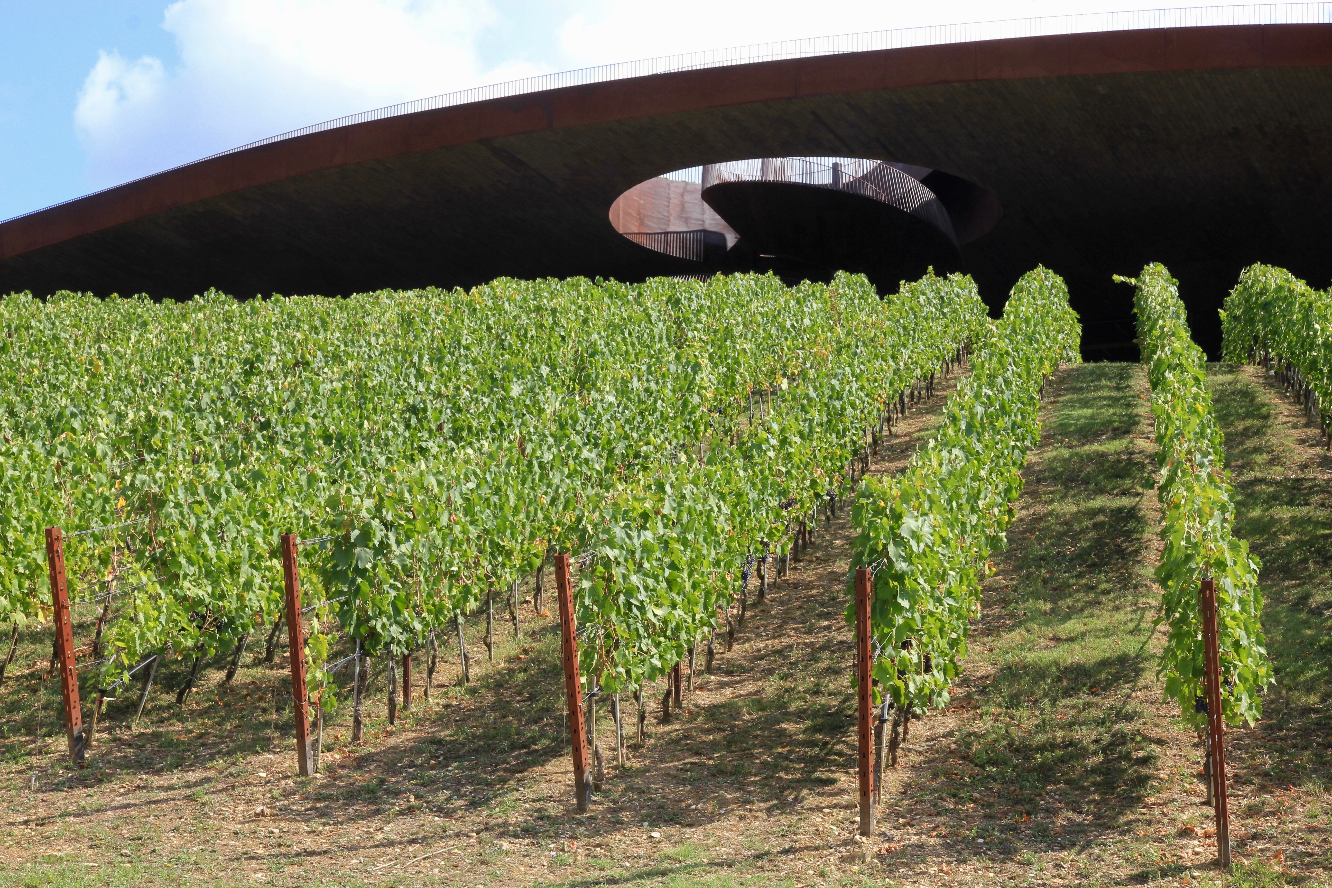 Cantine Antinori nel Chianti Classico