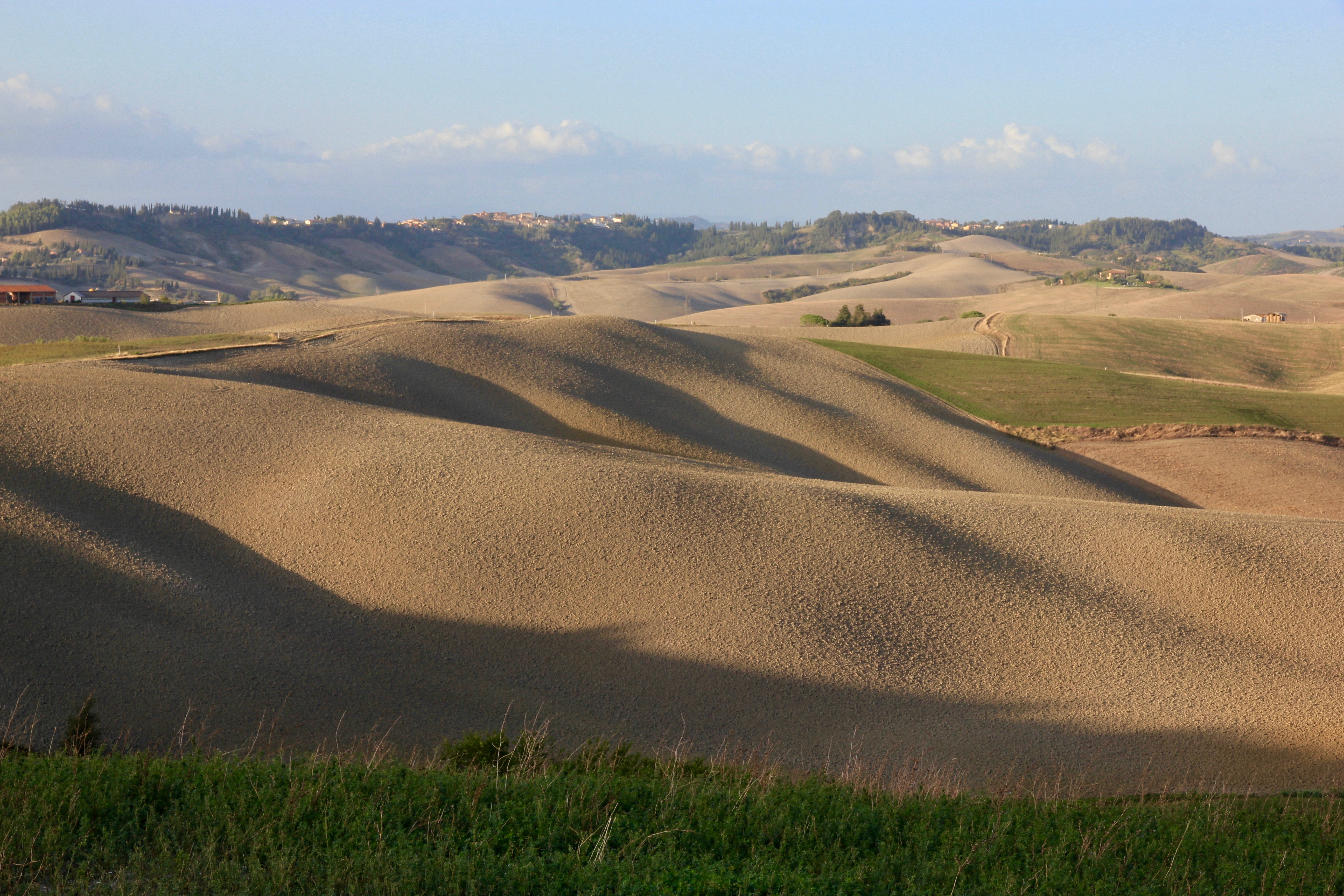 colline toscane