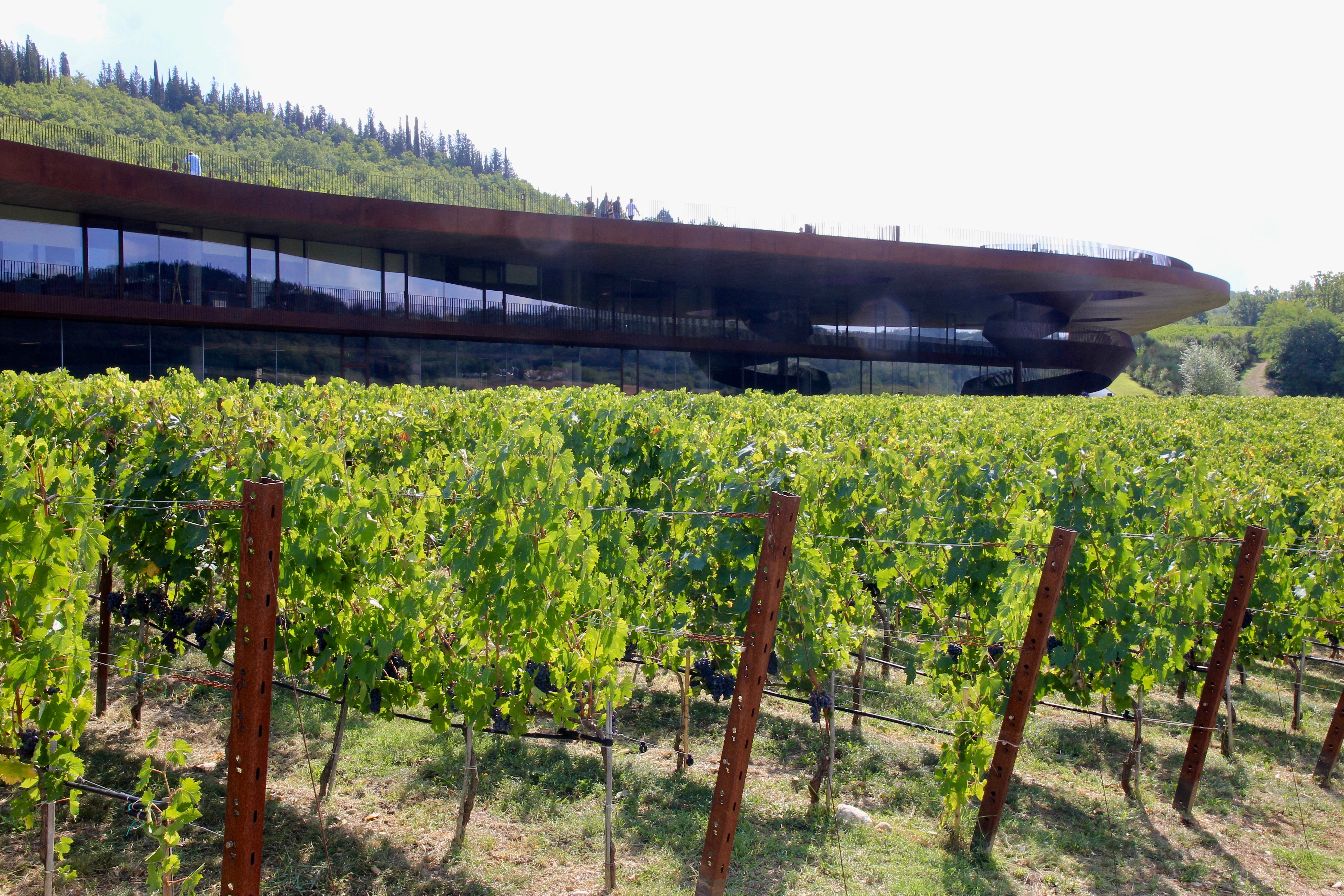 Cantine Antinori nel Chianti Classico