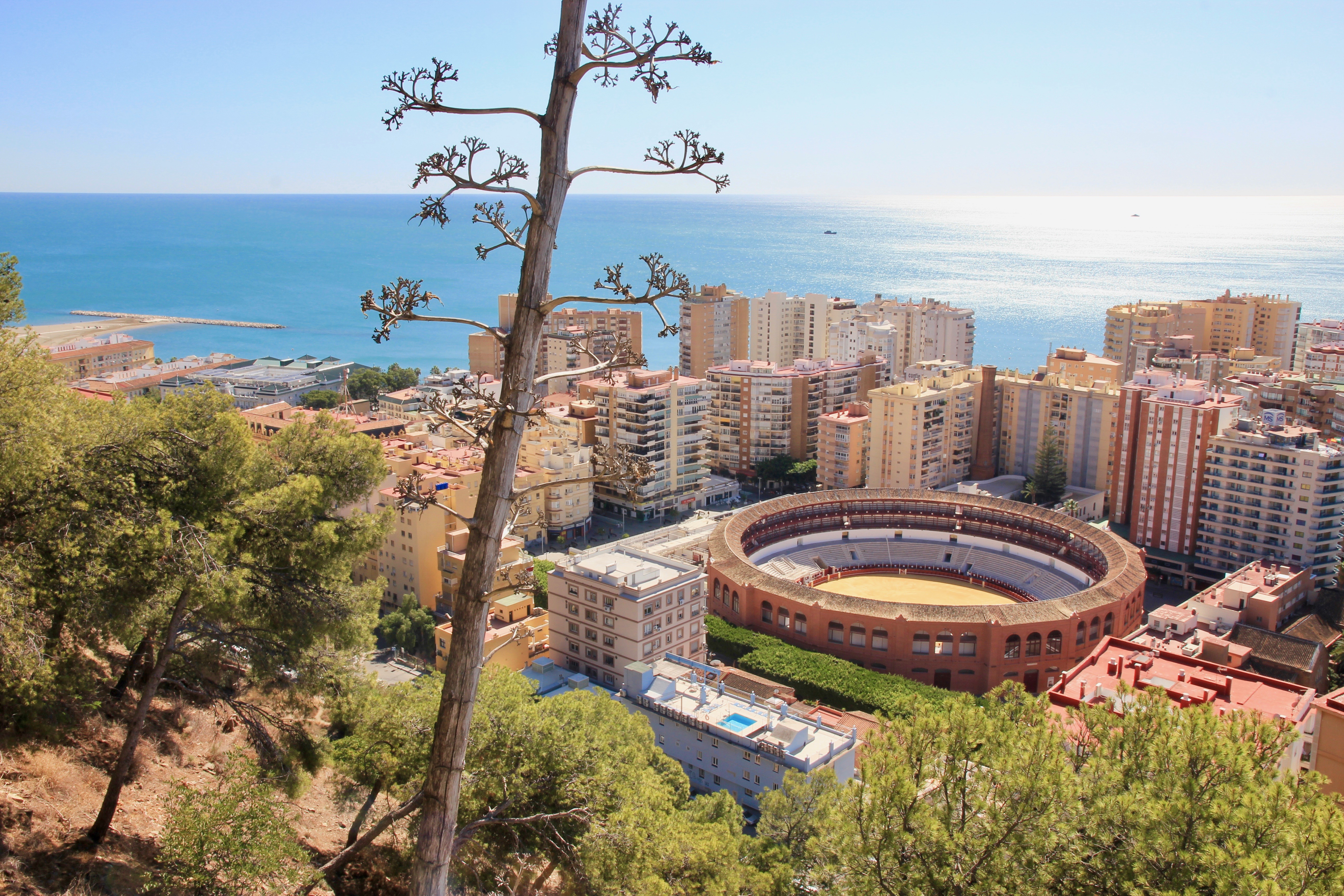 Le più belle visite su Málaga
