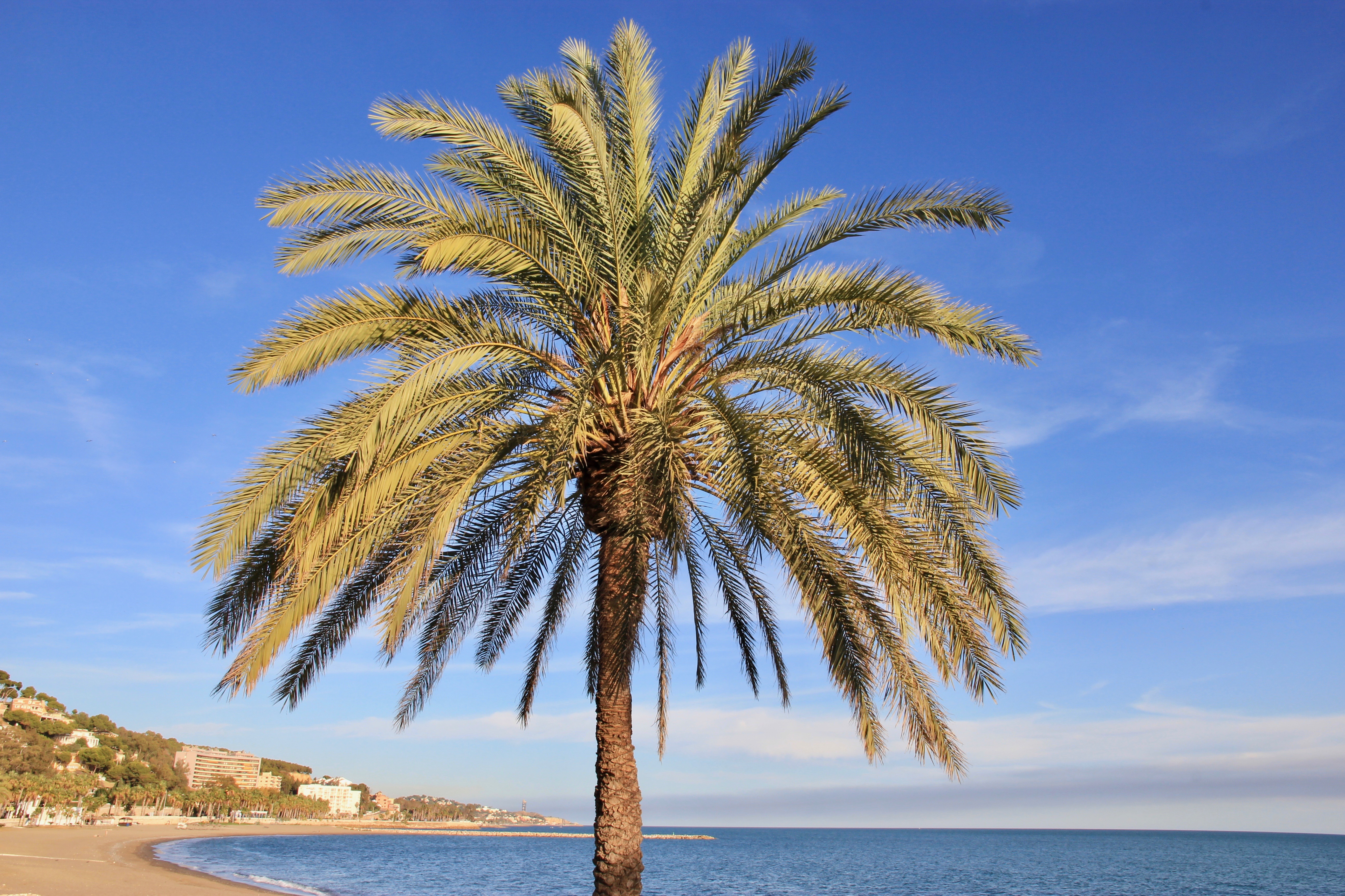 Tour di una settimana in Andalusia