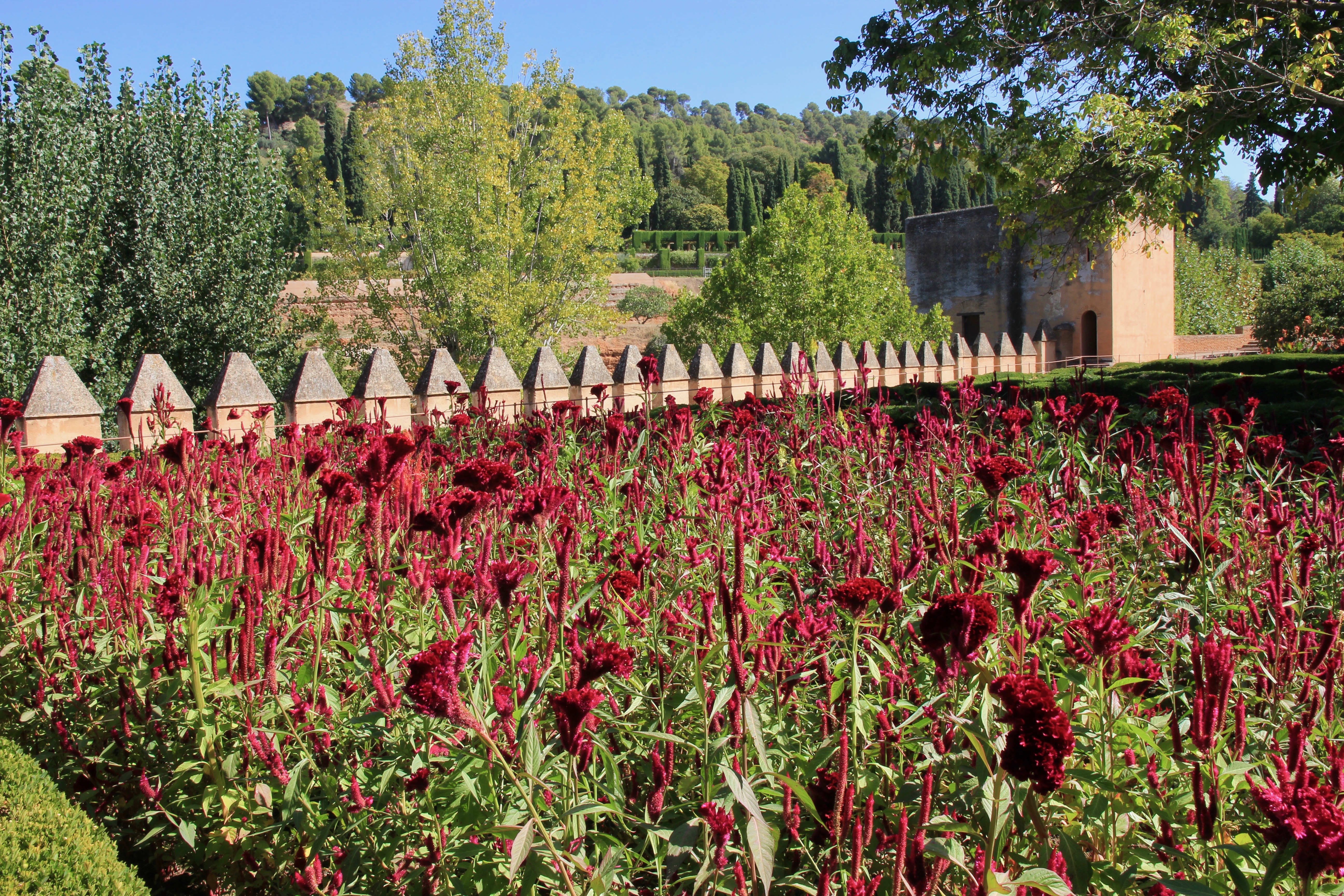 consigli per visitare l'Alhambra di Granada