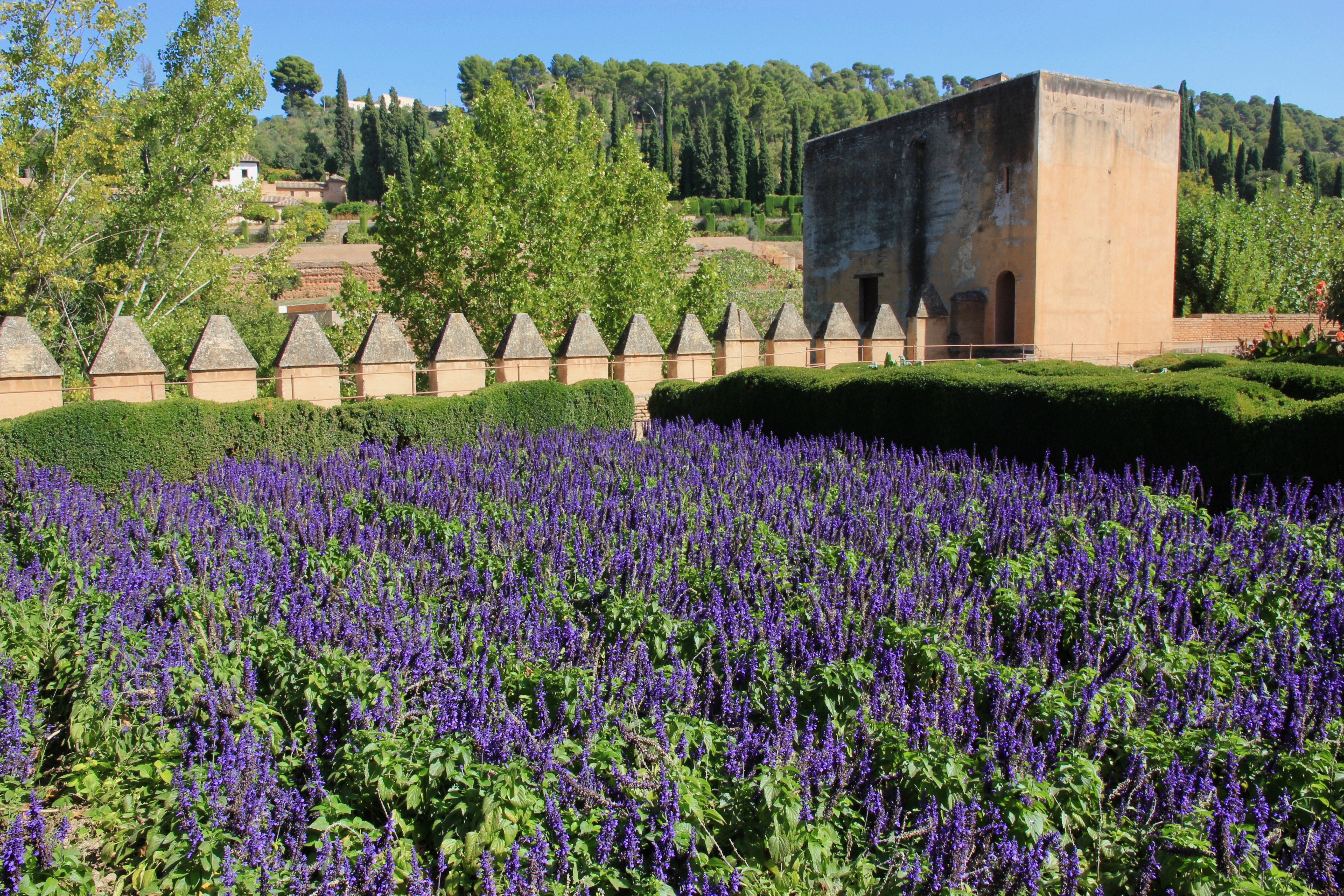 consigli per visitare l'Alhambra di Granada