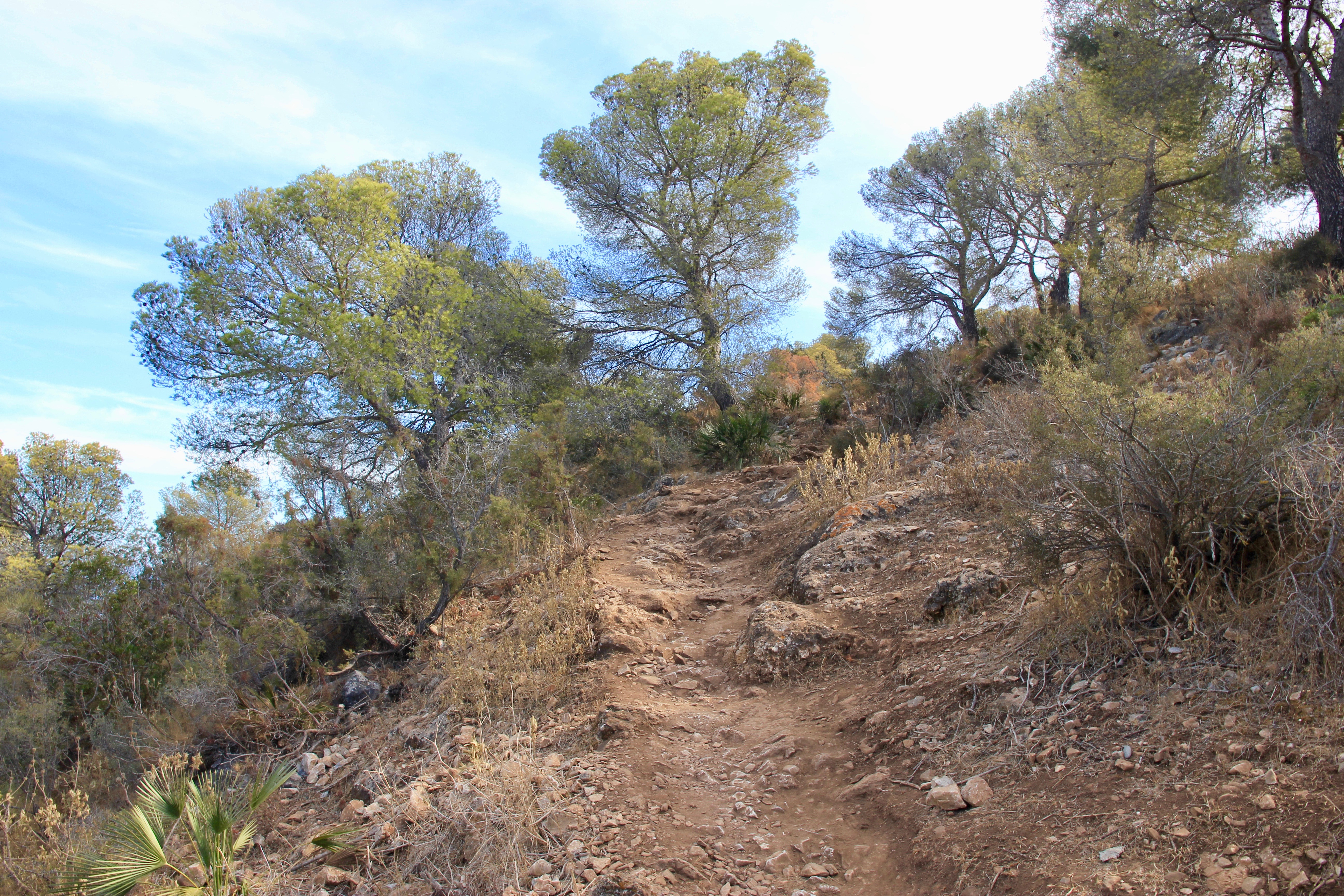 Mirador de Cerro Gordo