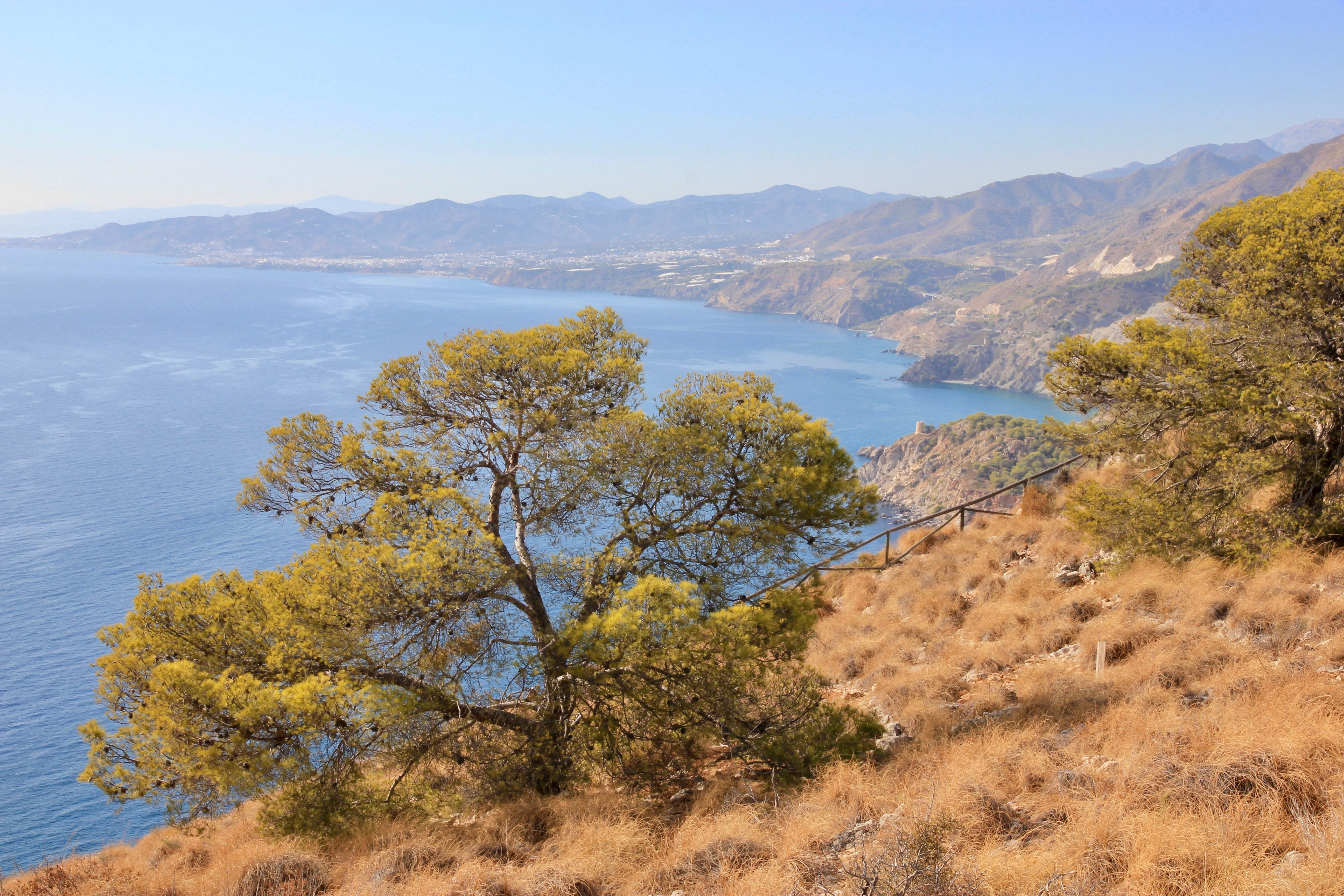 mirador del cerro gordo