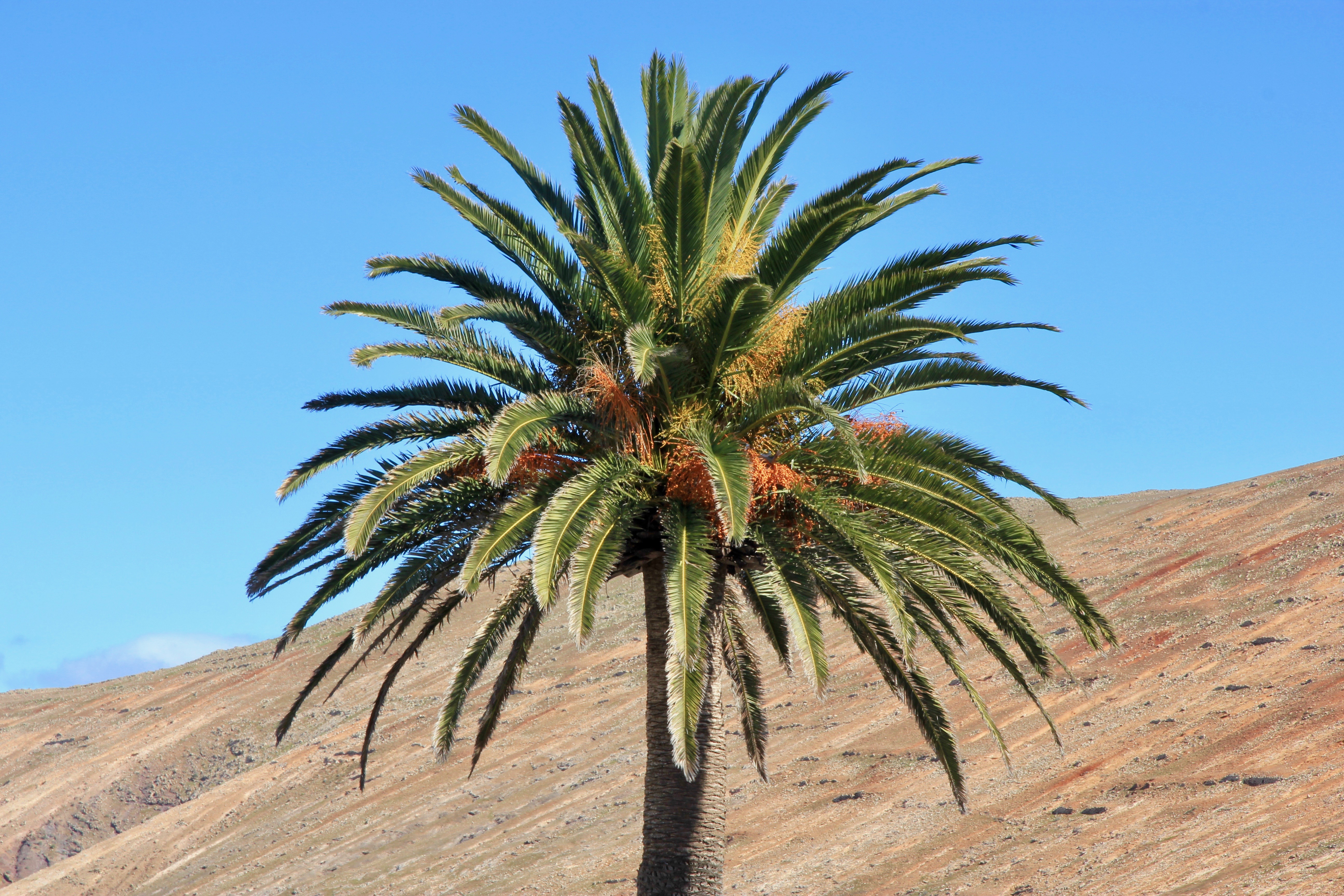 vacanza a Lanzarote