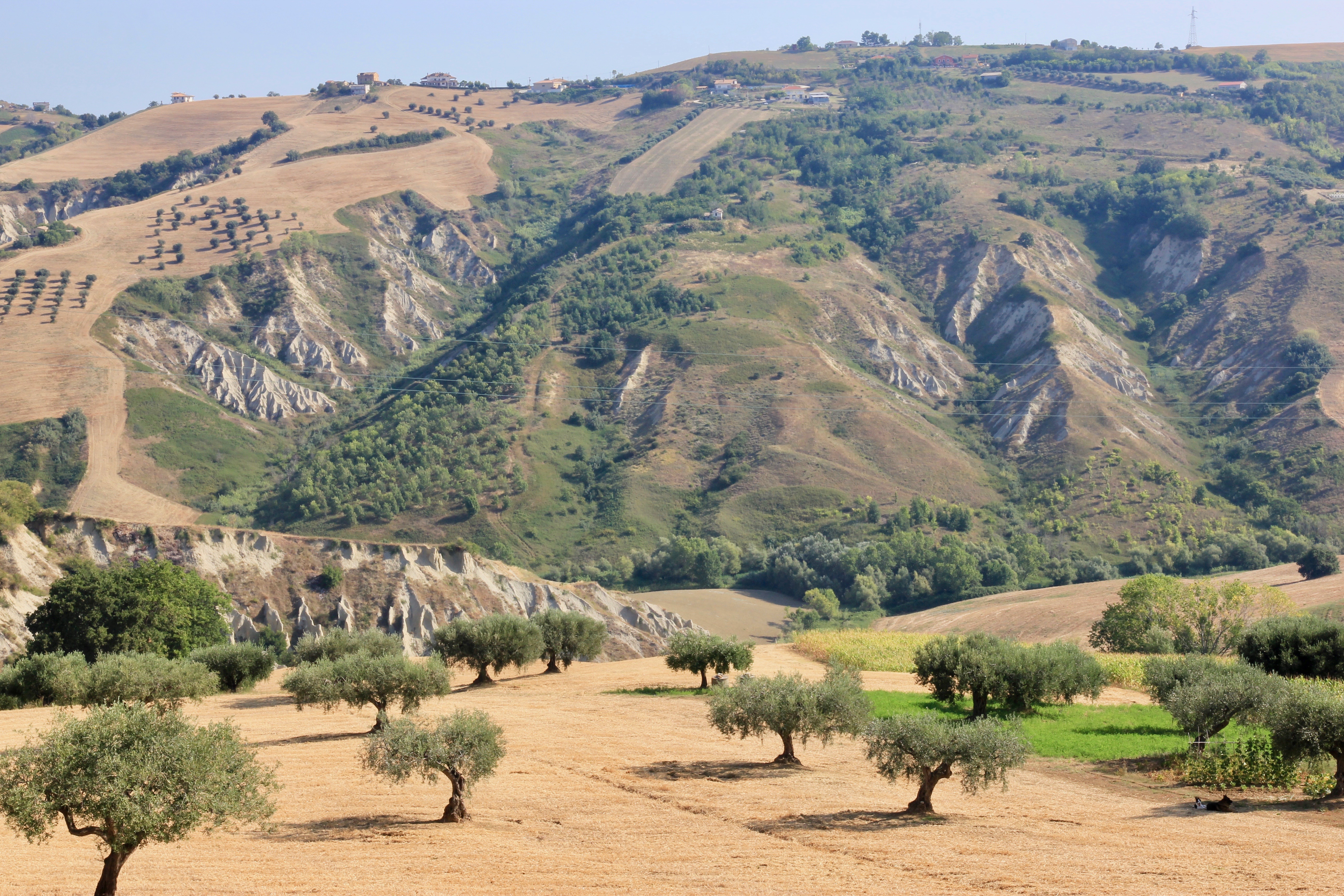 Riserva Naturale dei Calanchi di Atri