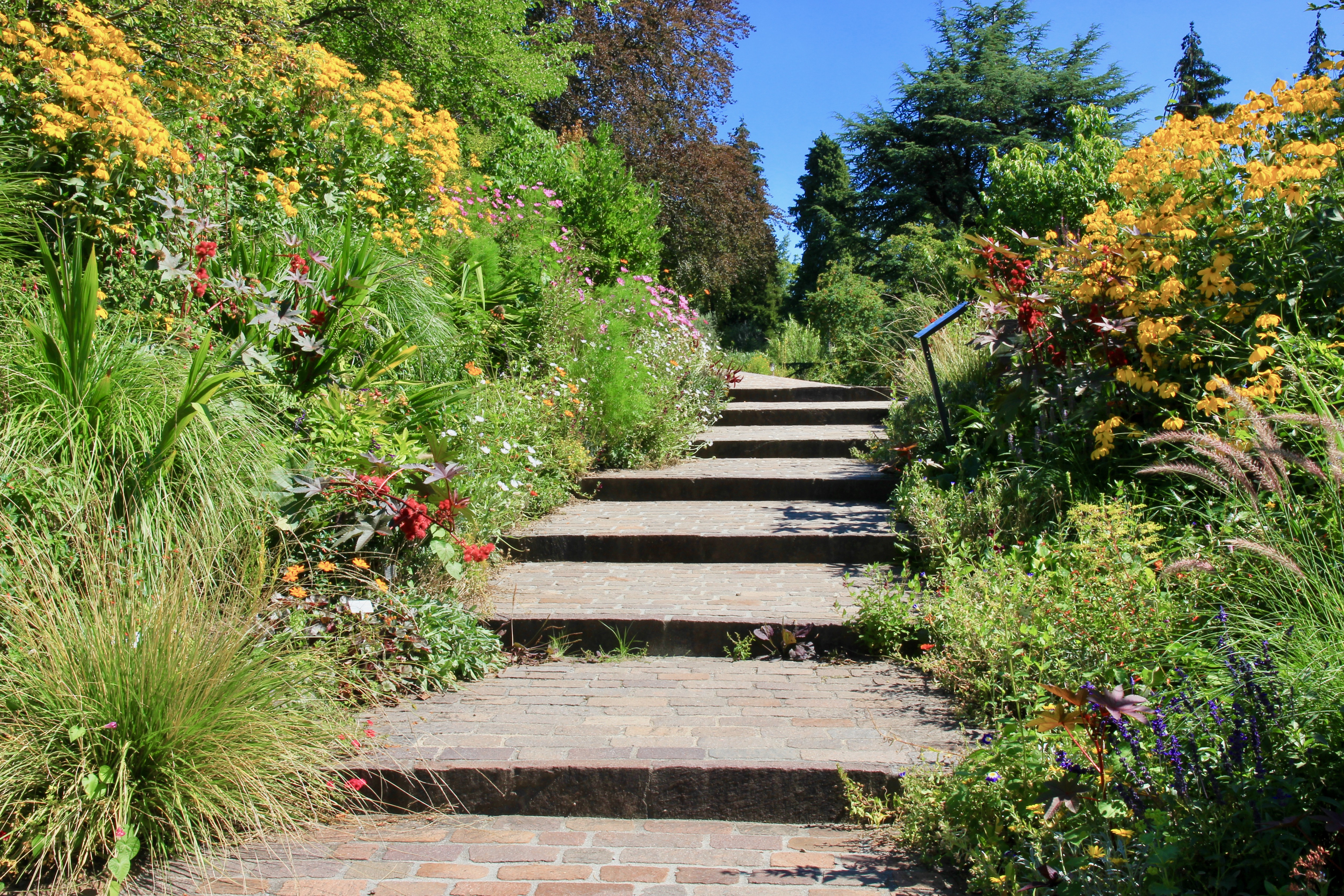 Giardino botanico di Zurigo