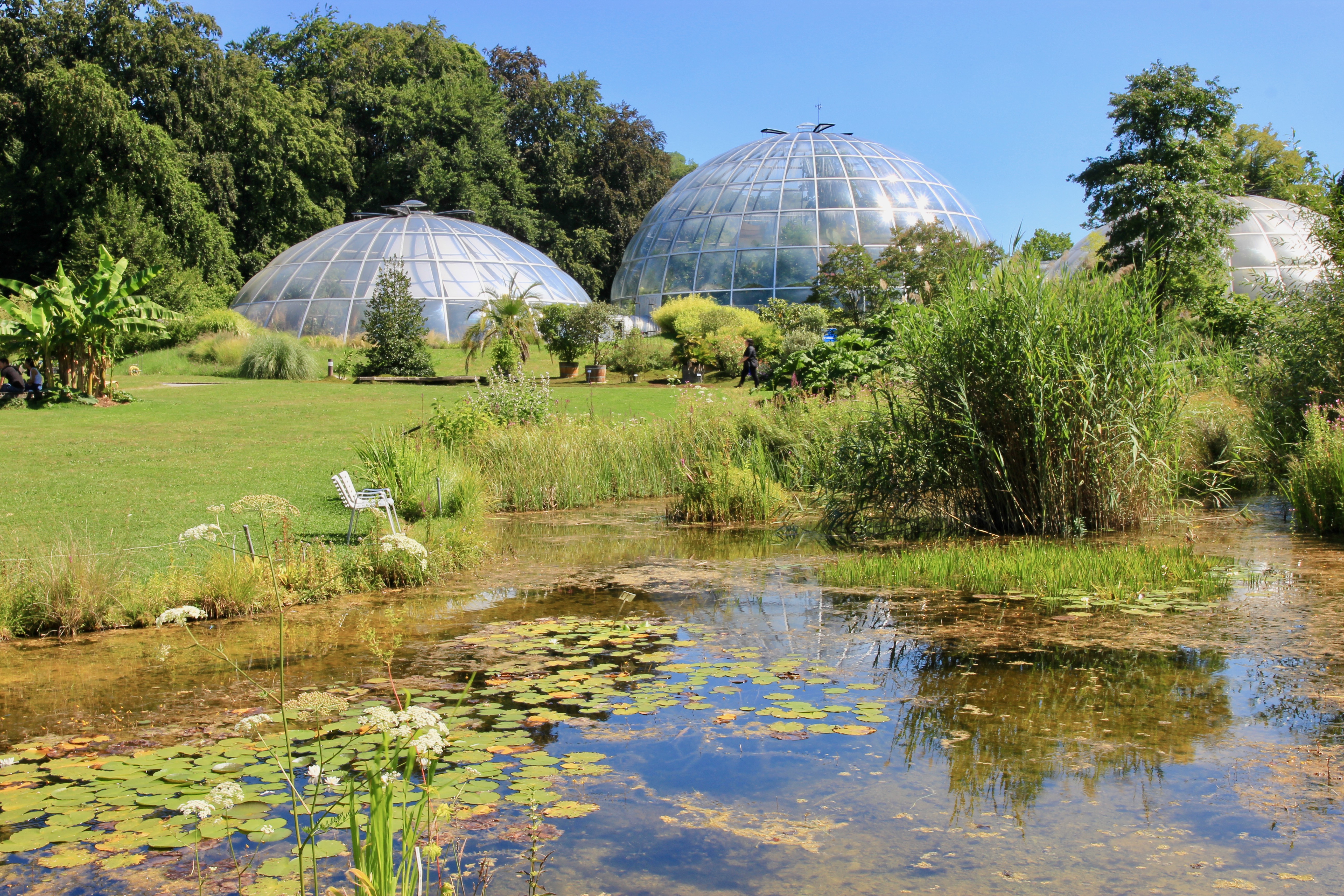 Giardino botanico di Zurigo