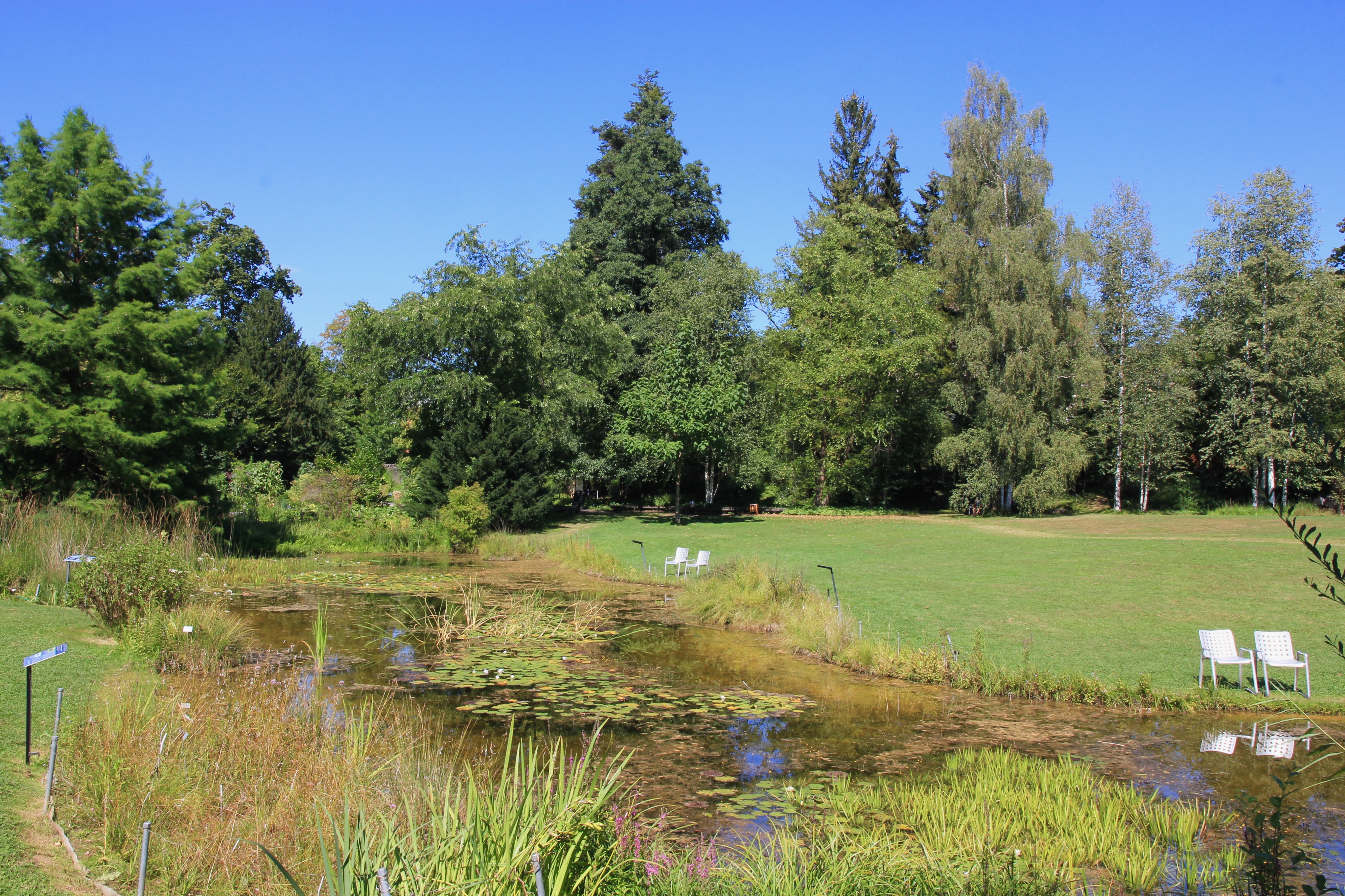 Giardino botanico di Zurigo
