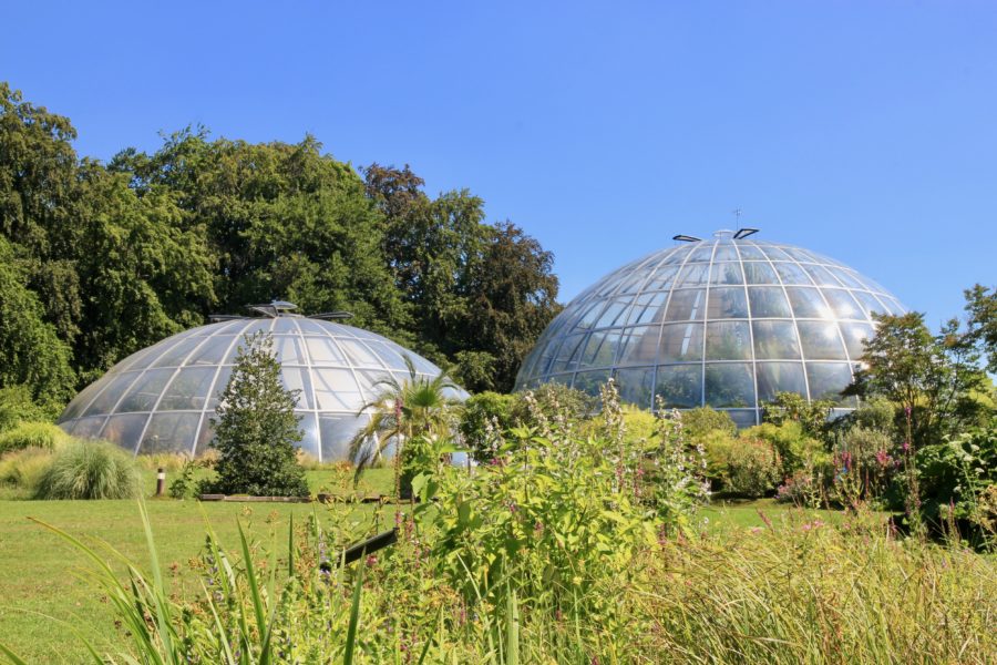 giardino botanico di Zurigo