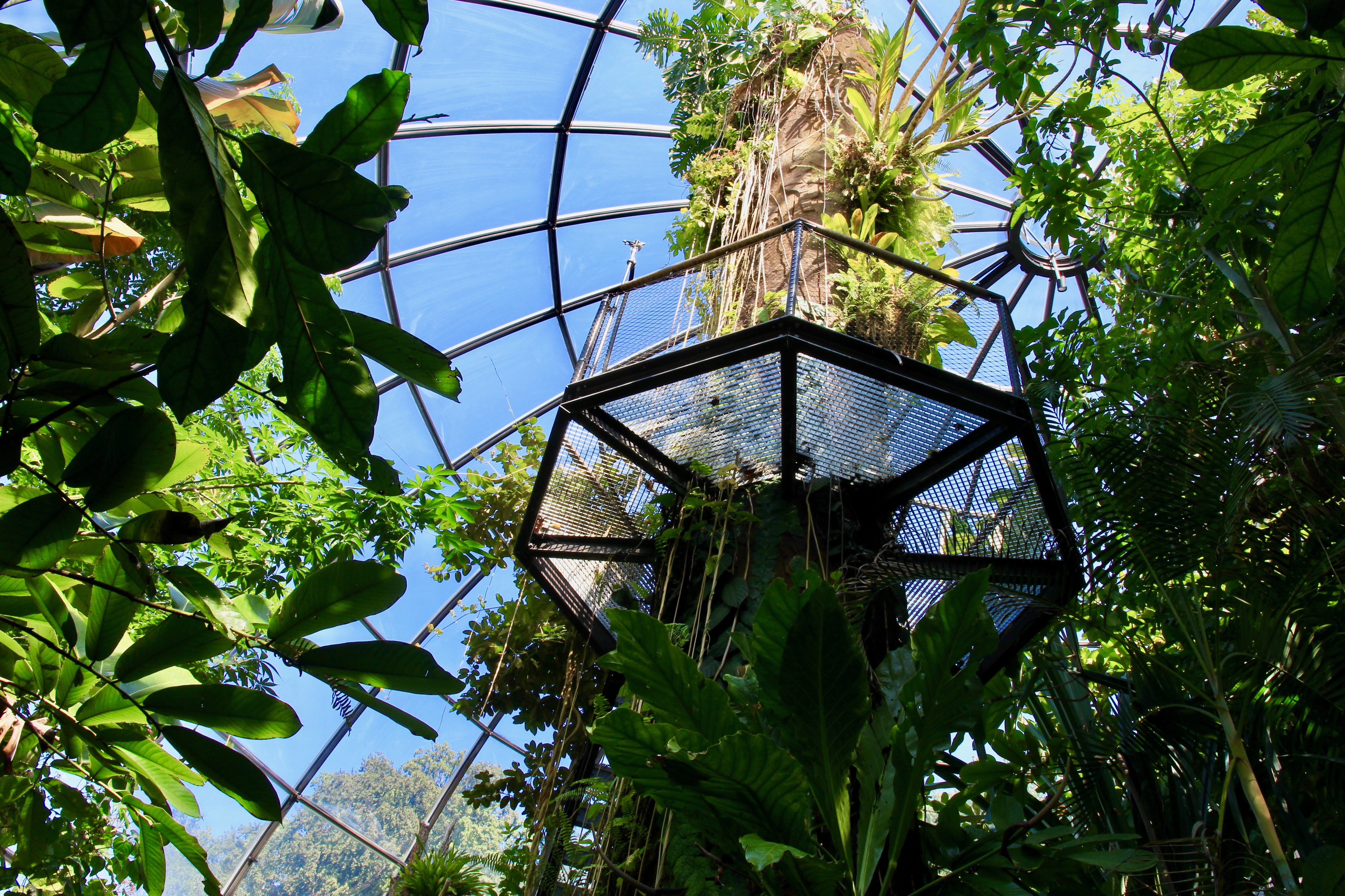 Giardino botanico di Zurigo