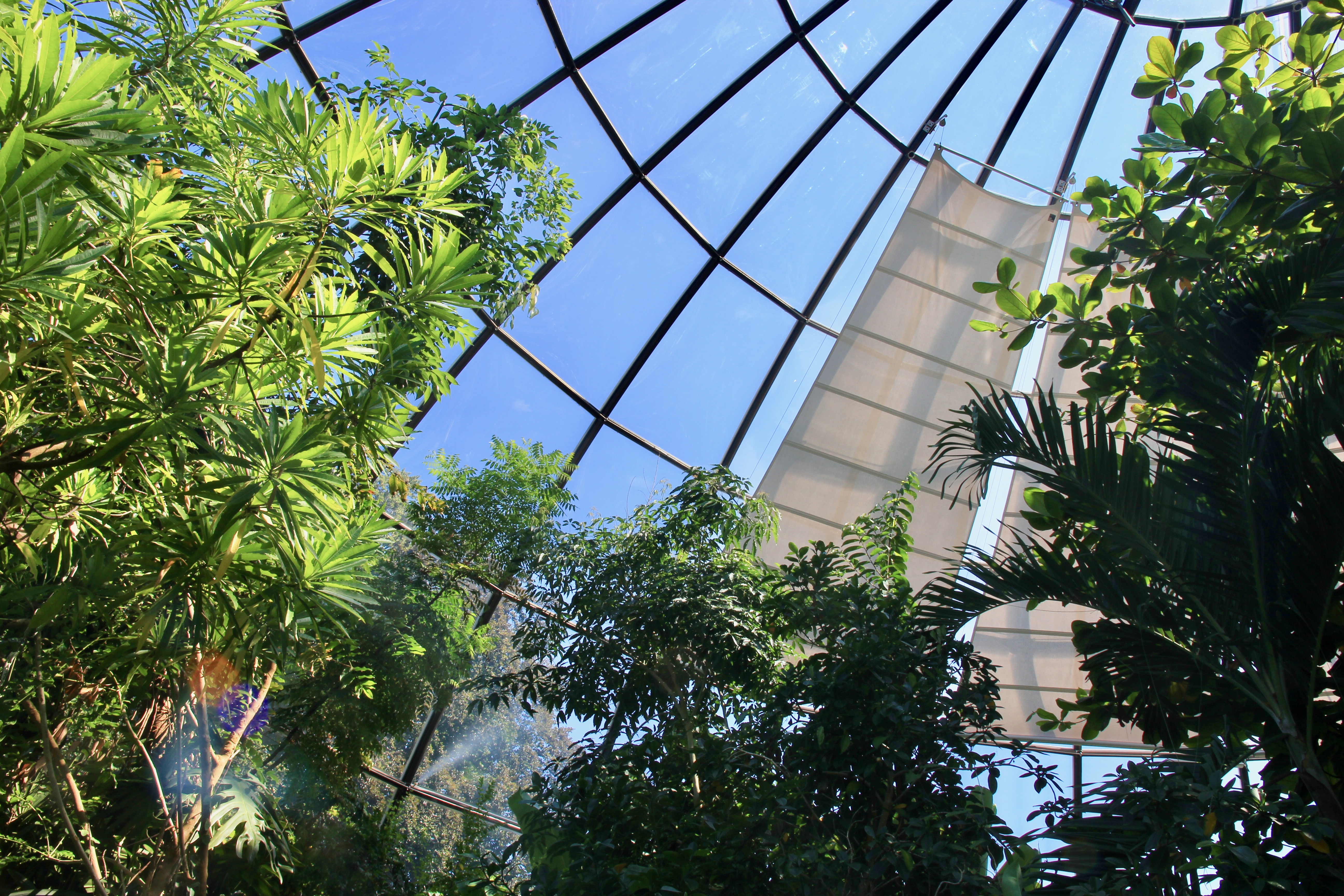 Giardino botanico di Zurigo