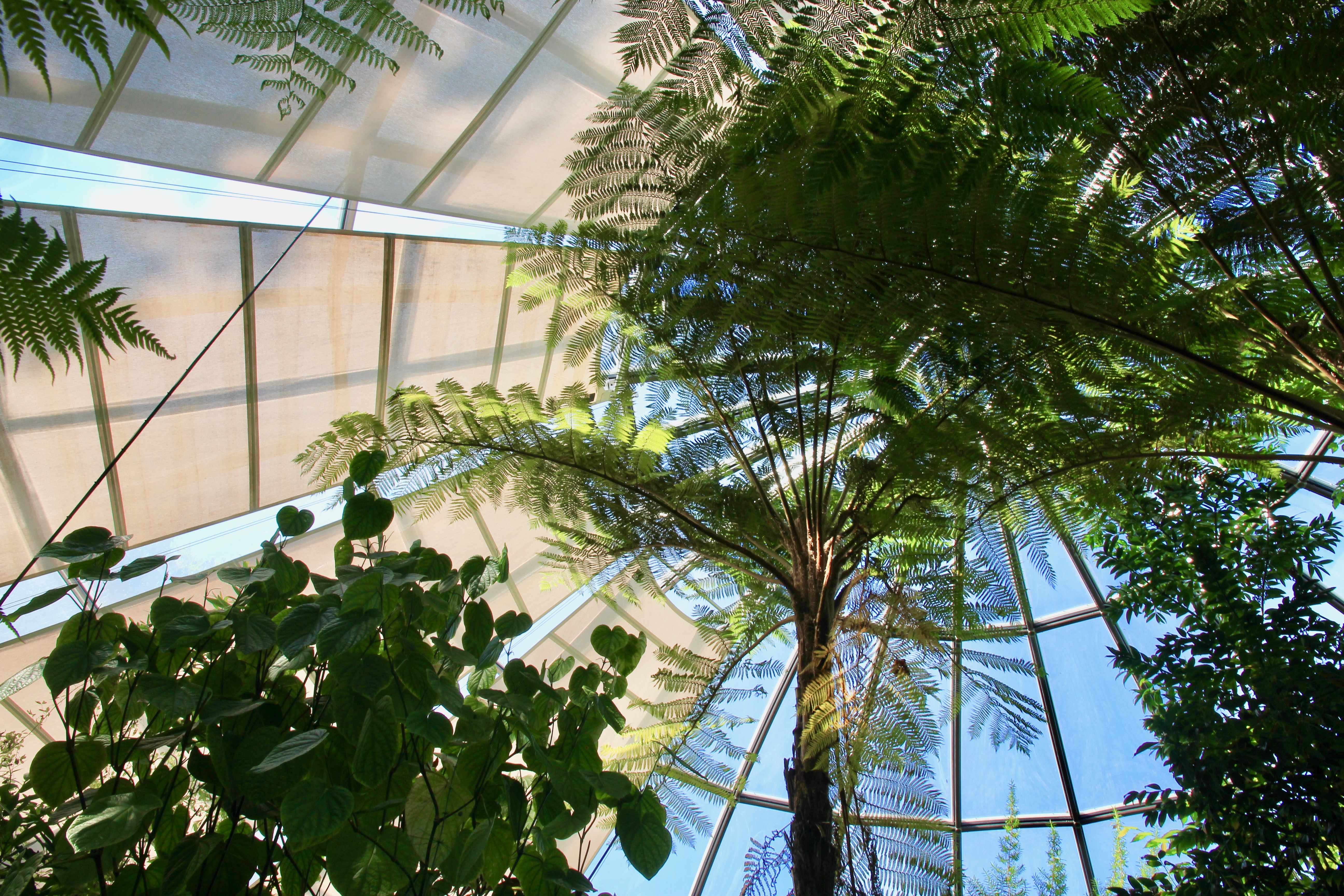 Giardino botanico di Zurigo