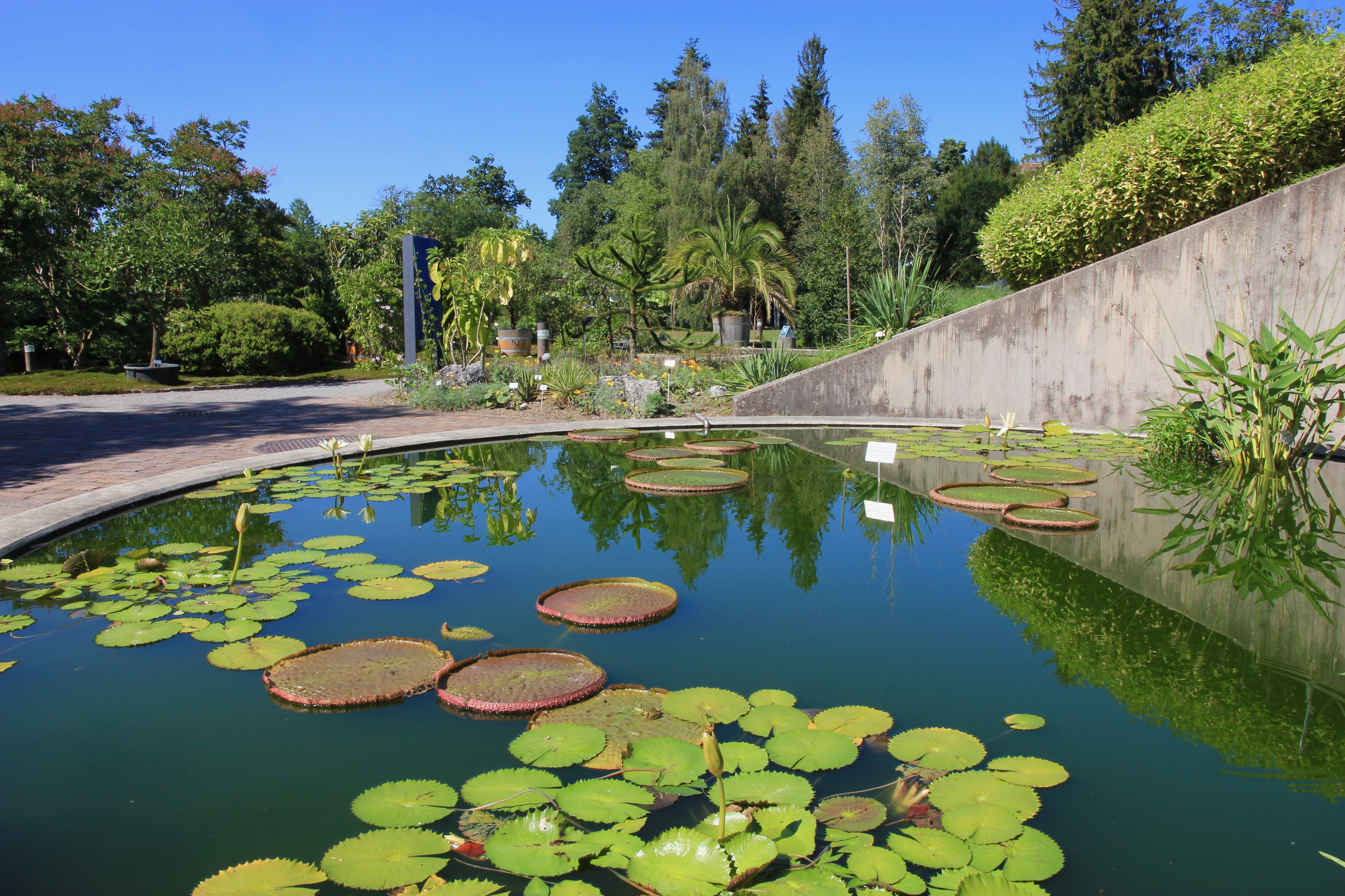 Giardino botanico di Zurigo