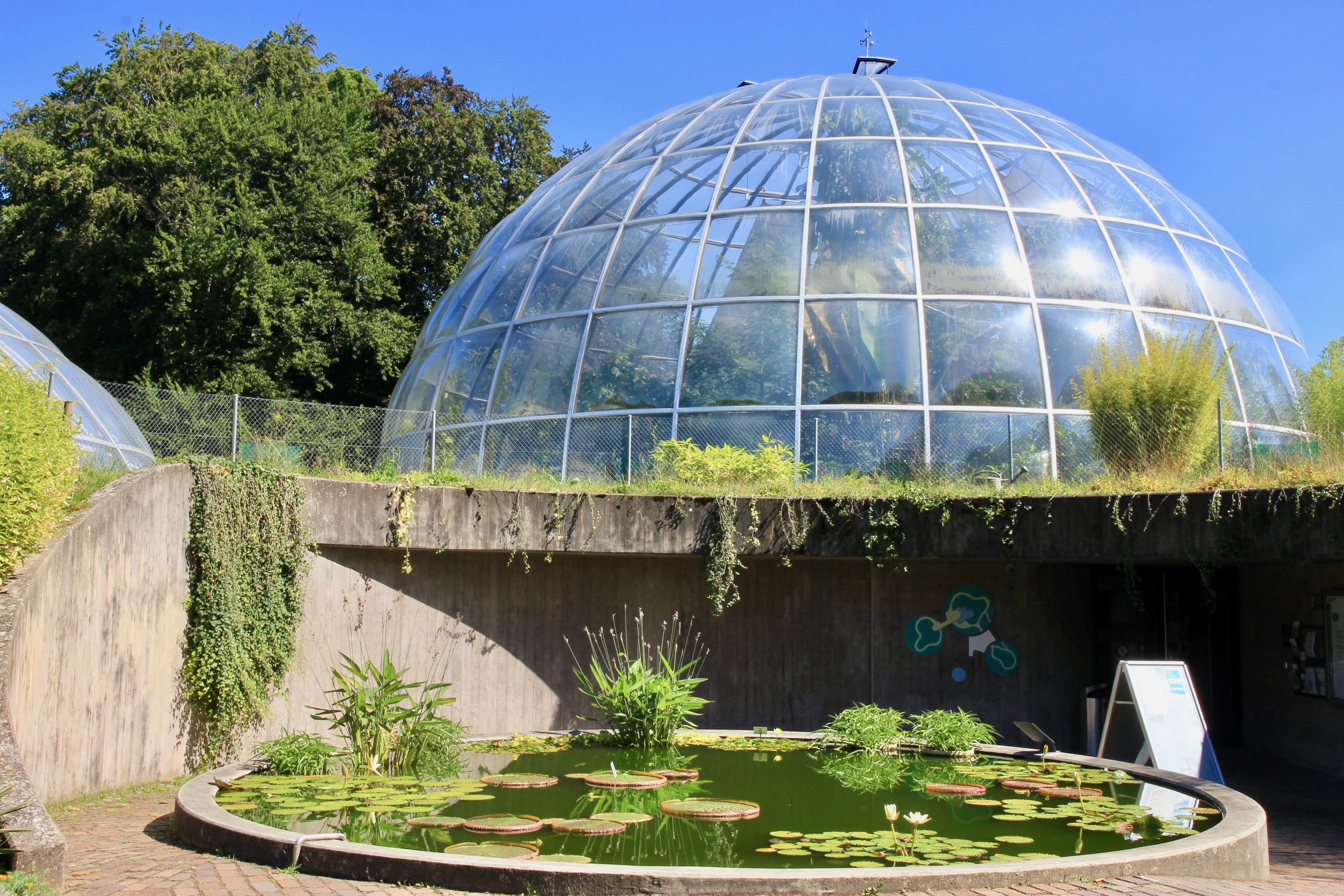 Giardino botanico di Zurigo