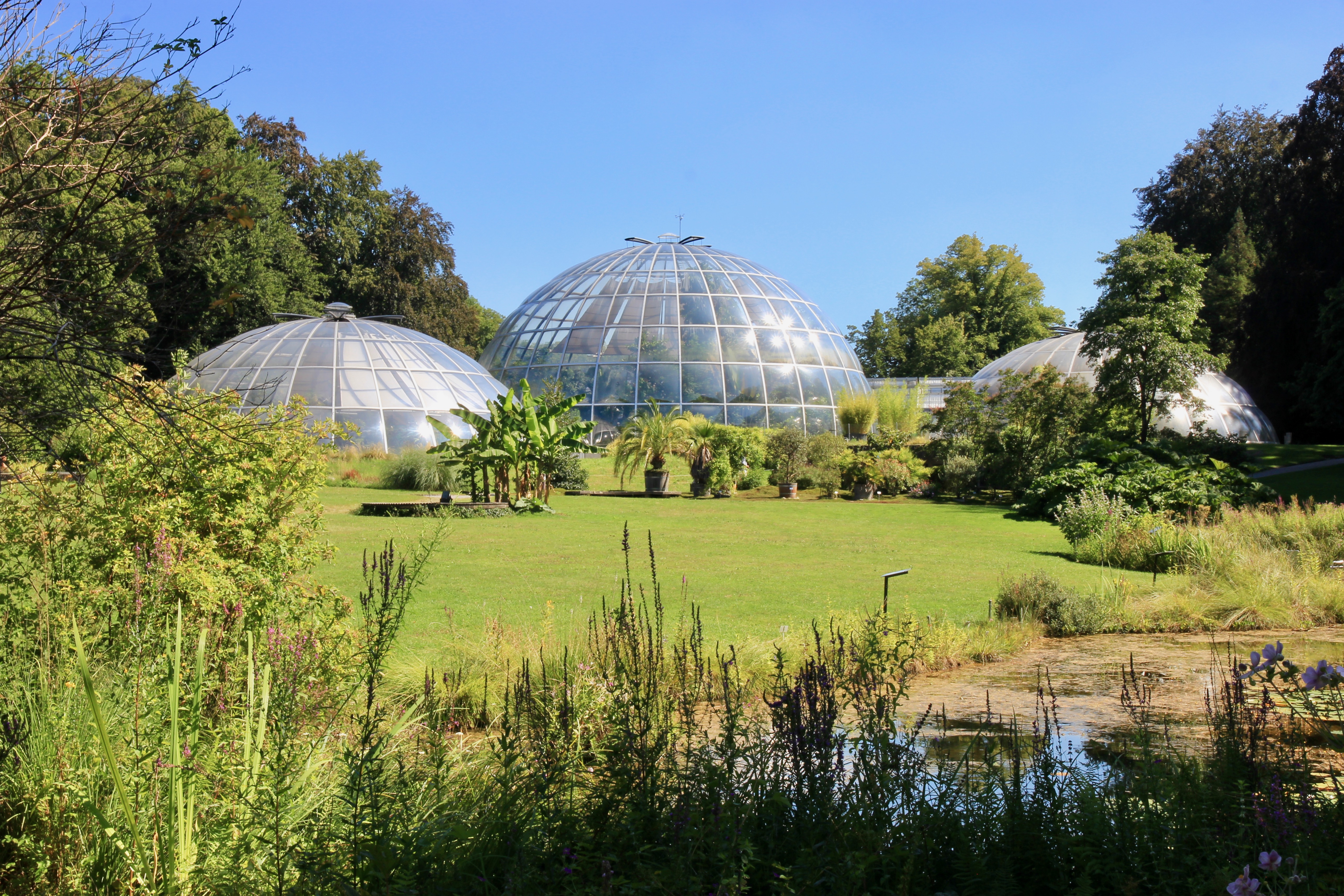 Giardino botanico di Zurigo