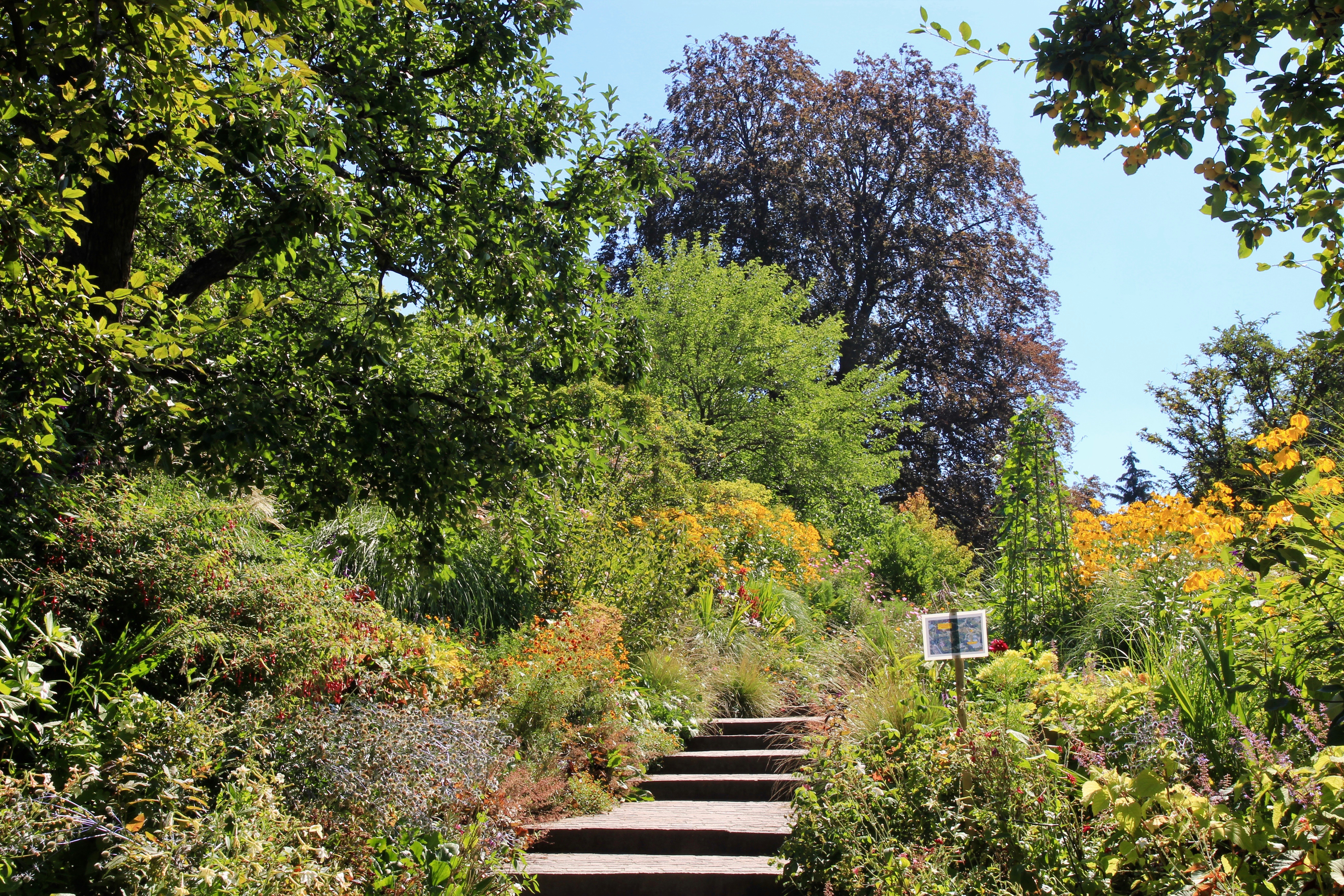 Giardino botanico di Zurigo