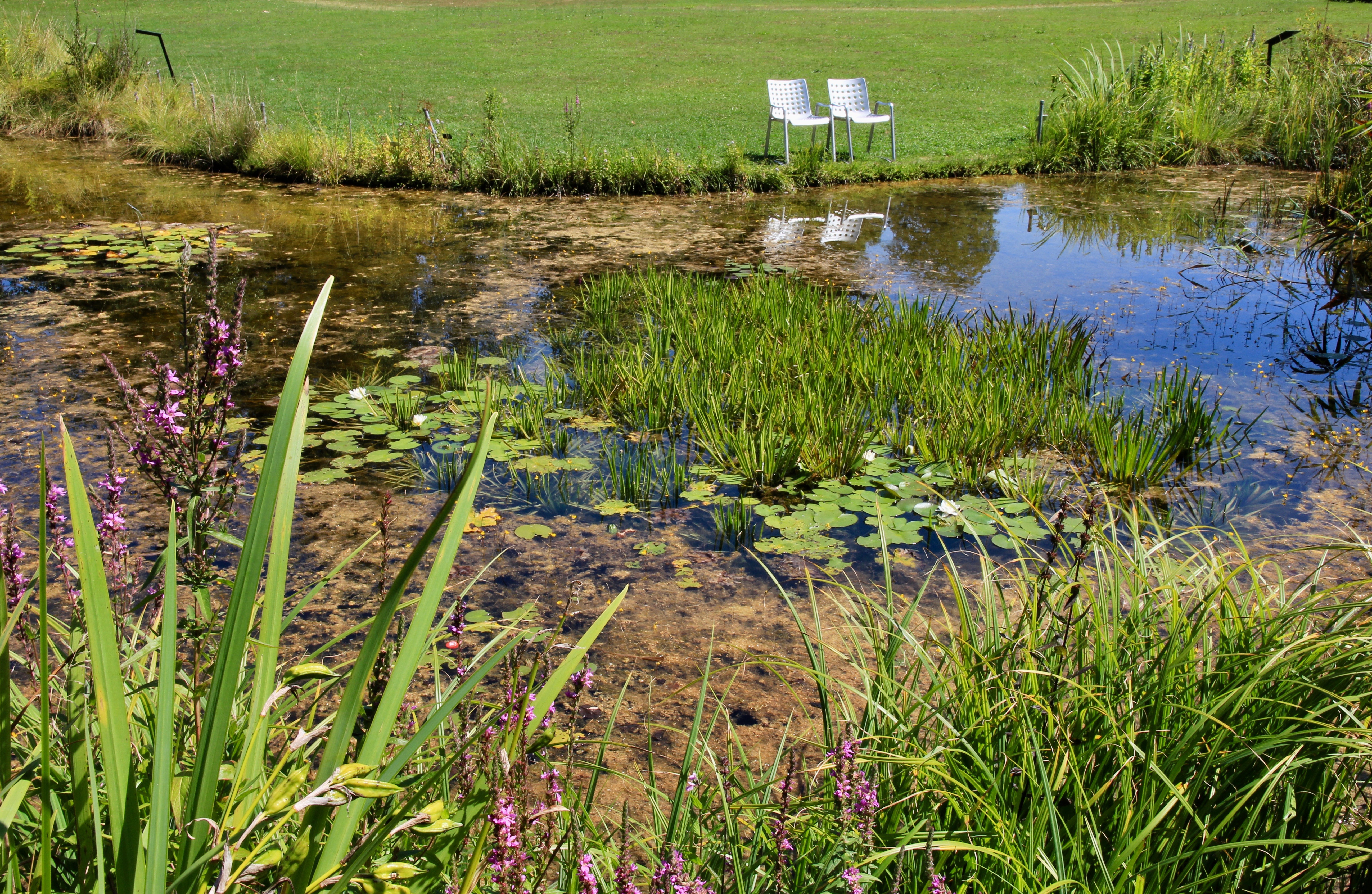 Giardino botanico di Zurigo