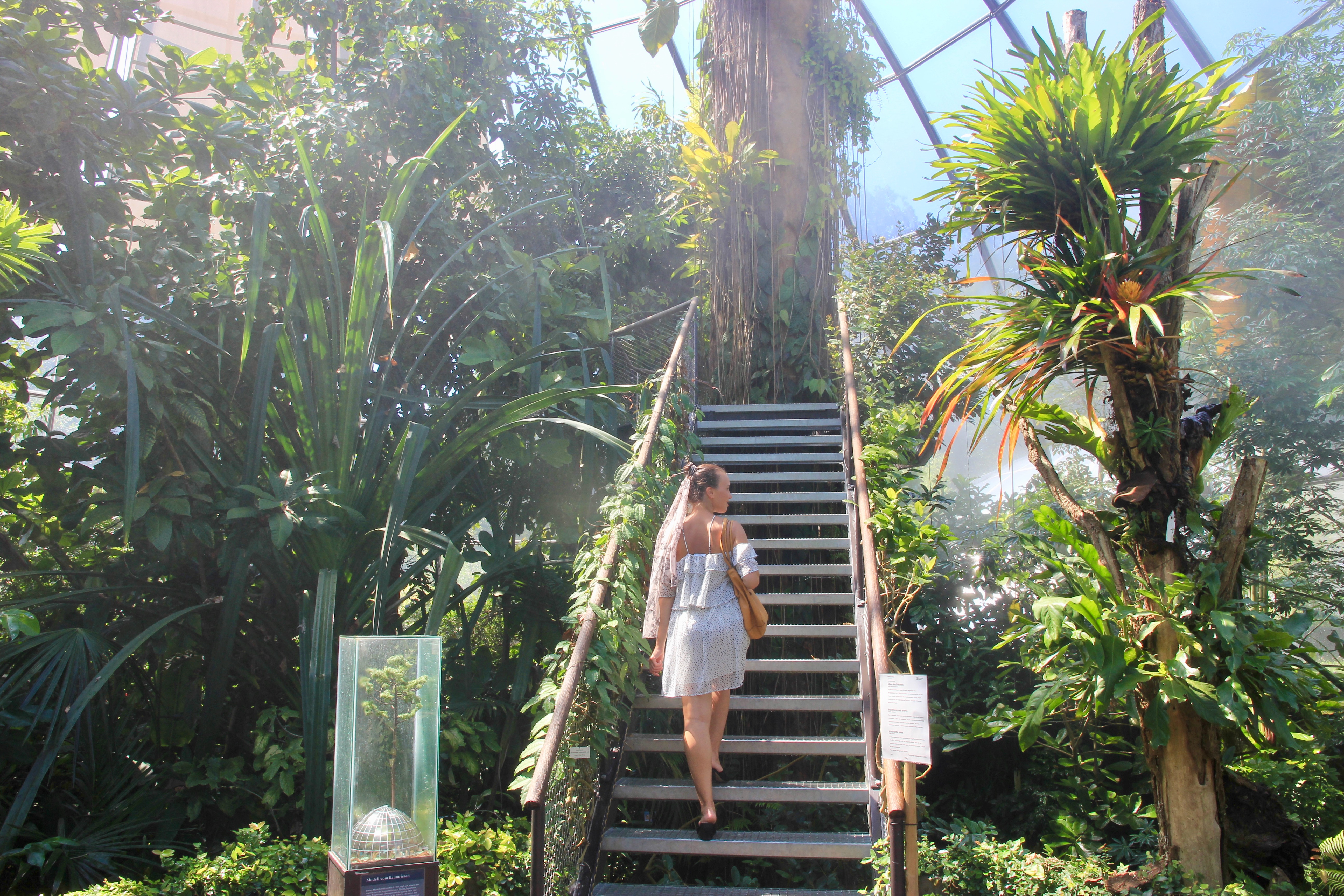 Giardino botanico di Zurigo