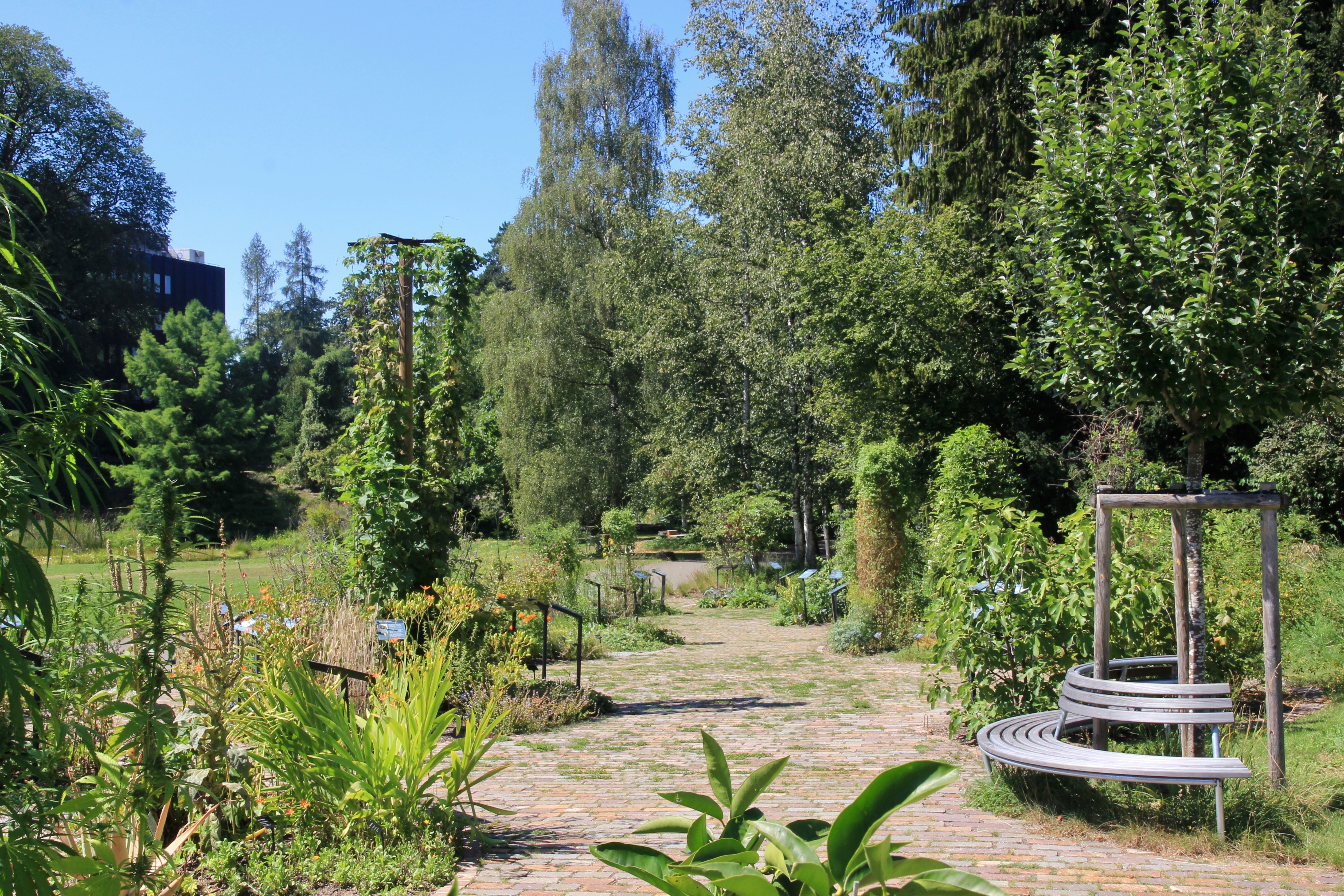 Giardino botanico di Zurigo
